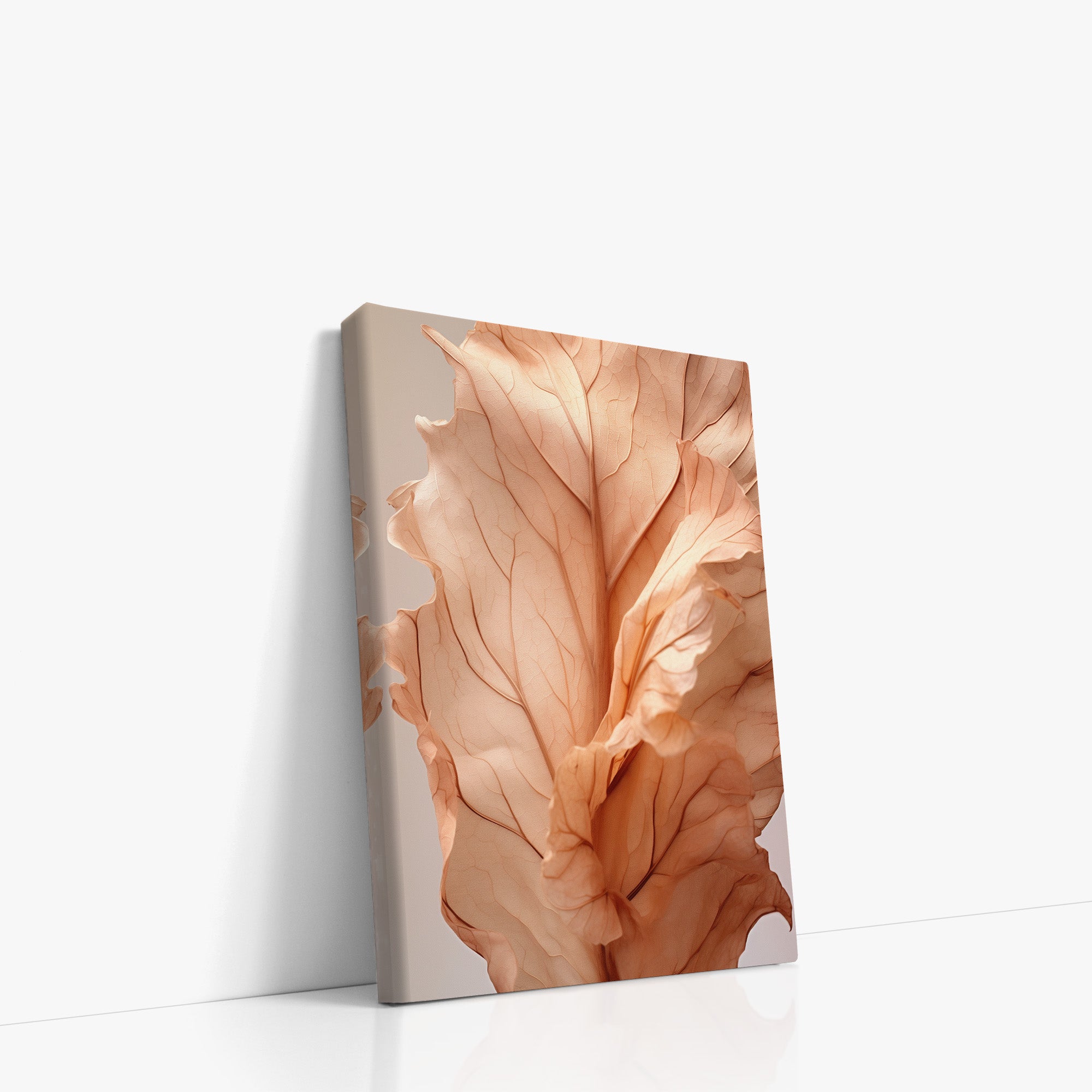 Sunset Petals