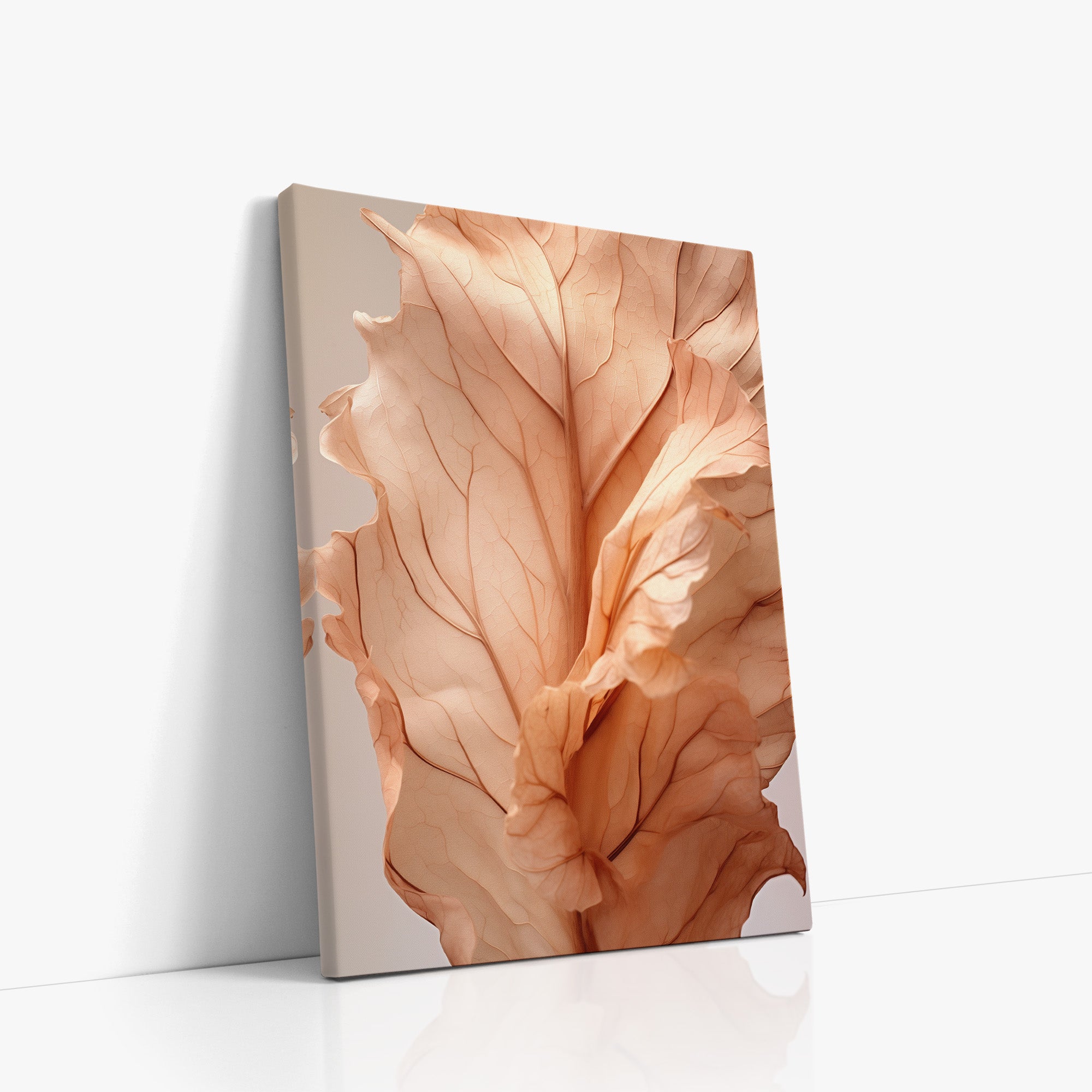 Sunset Petals