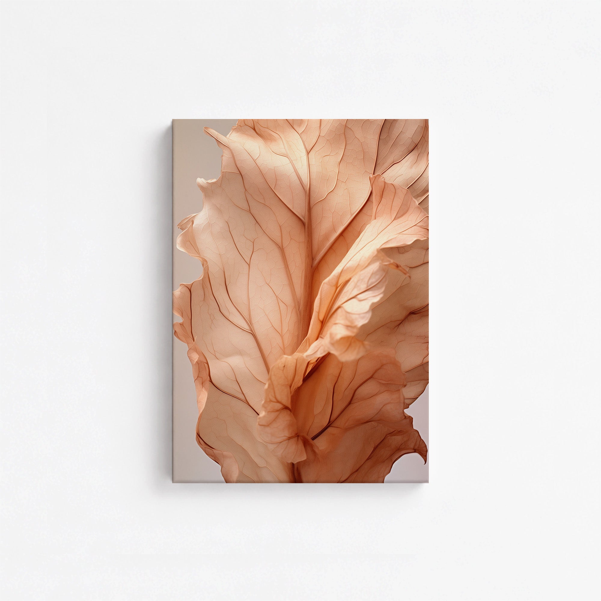 Sunset Petals