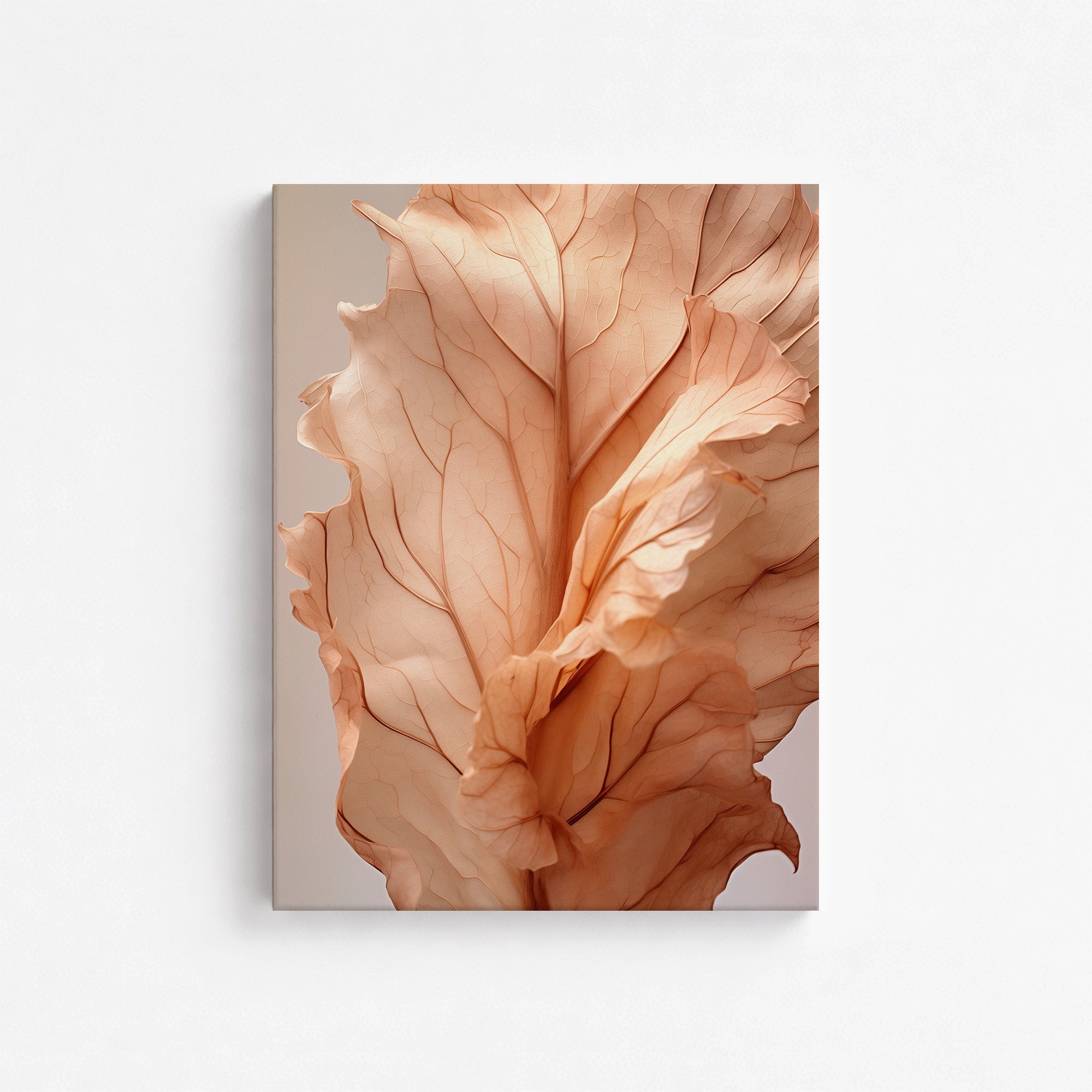 Sunset Petals