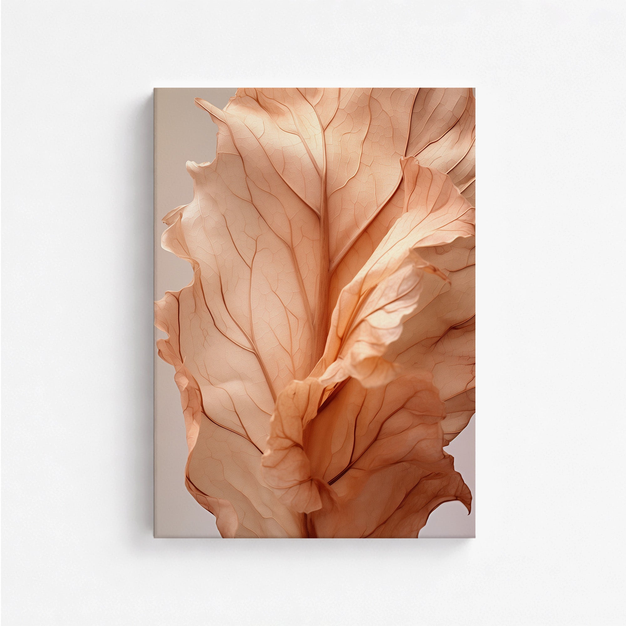 Sunset Petals
