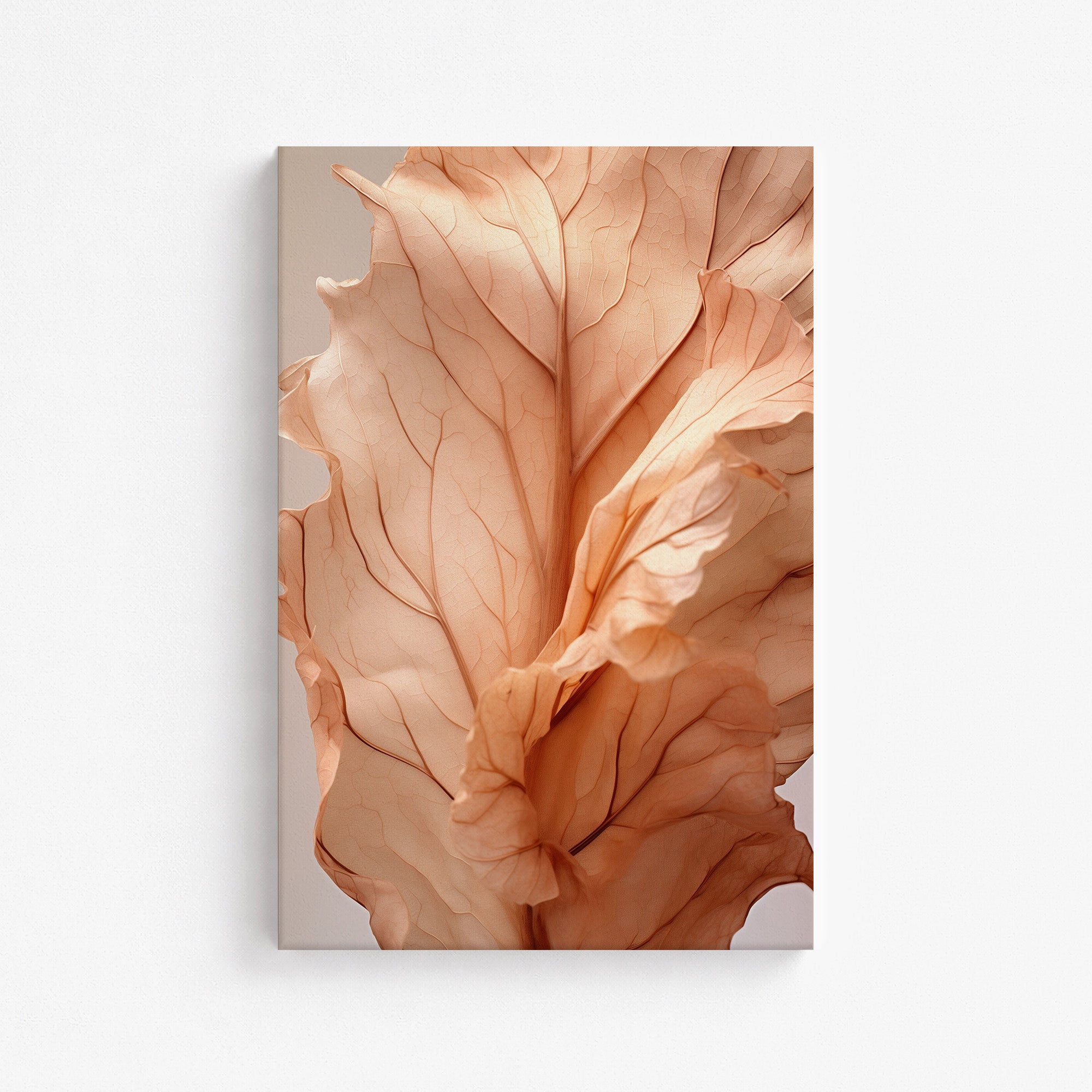 Sunset Petals