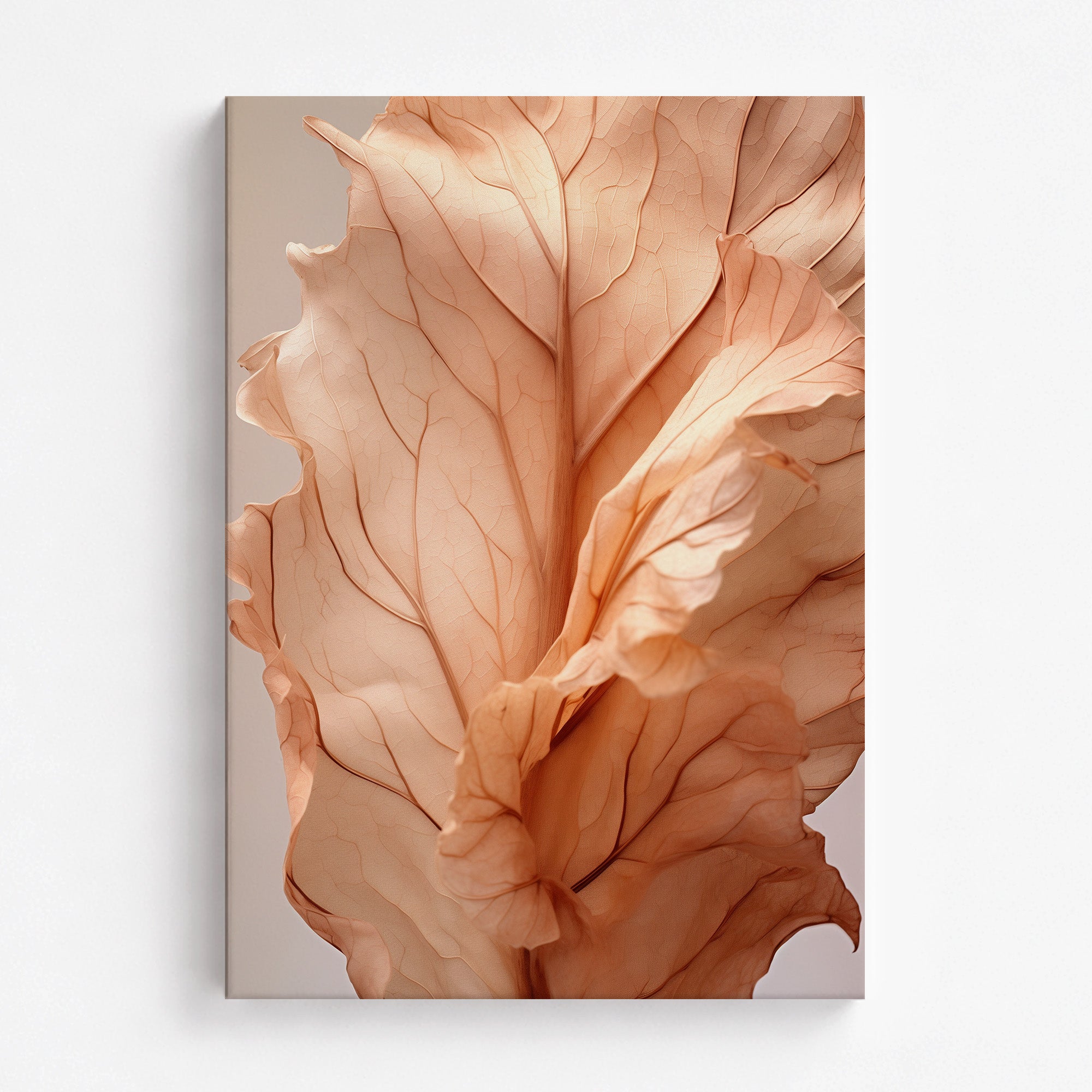 Sunset Petals