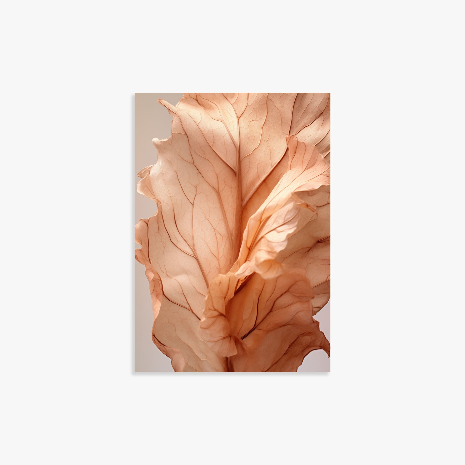 Sunset Petals, 21x30cm Poster Unframed