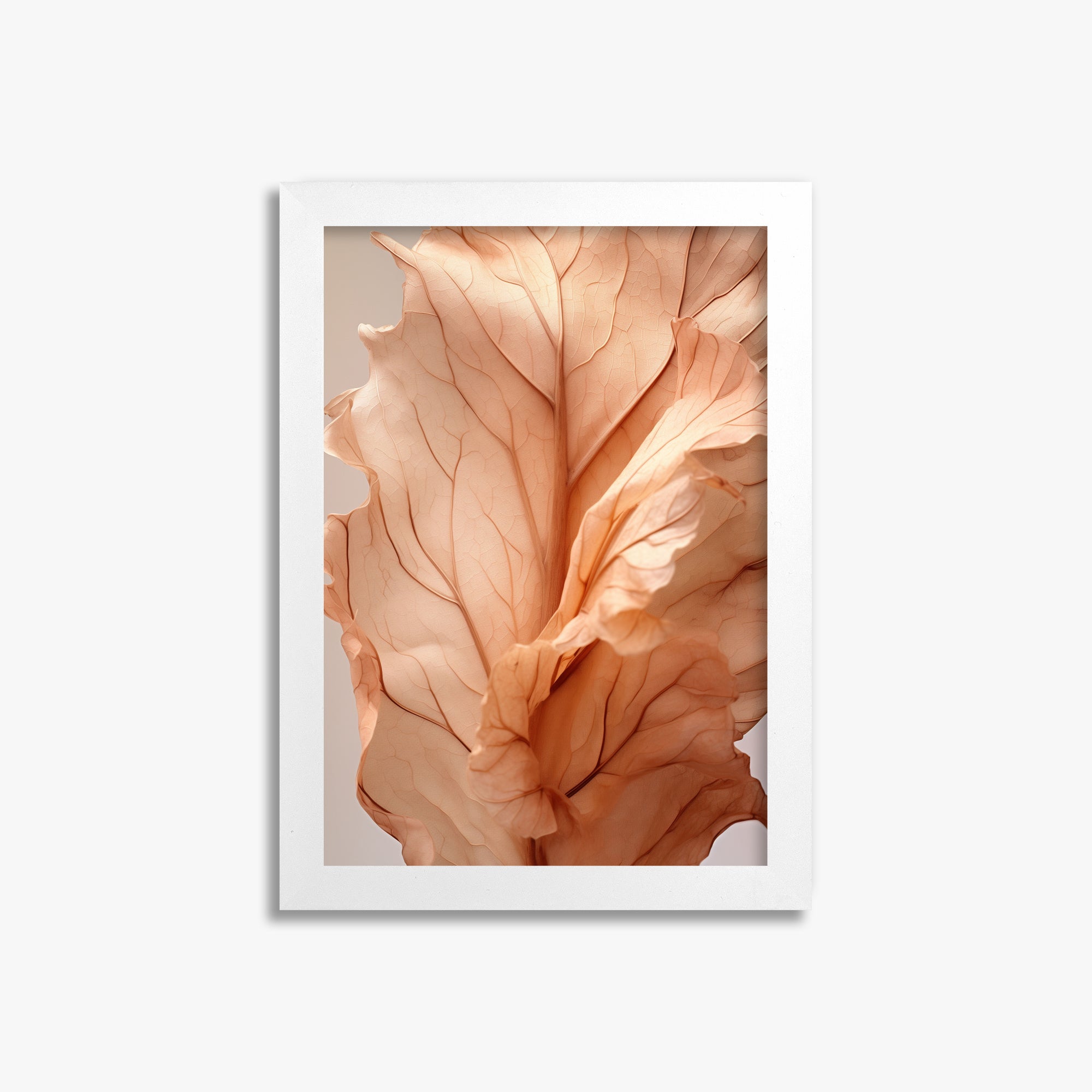 Sunset Petals, 21x30cm Framed Poster With White Frame
