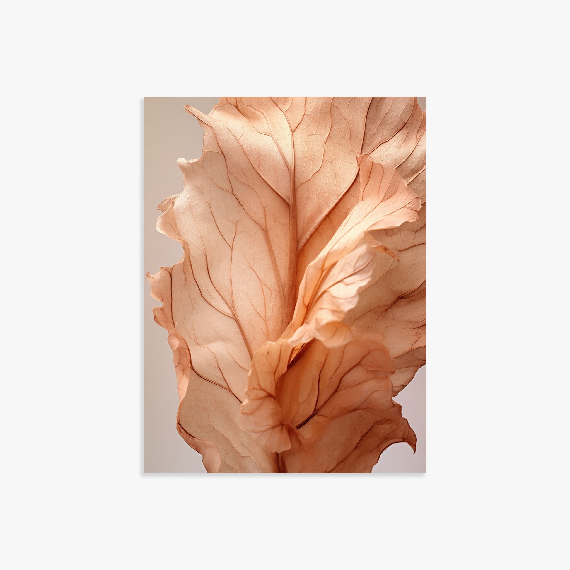 Sunset Petals, 30x40cm Poster Unframed
