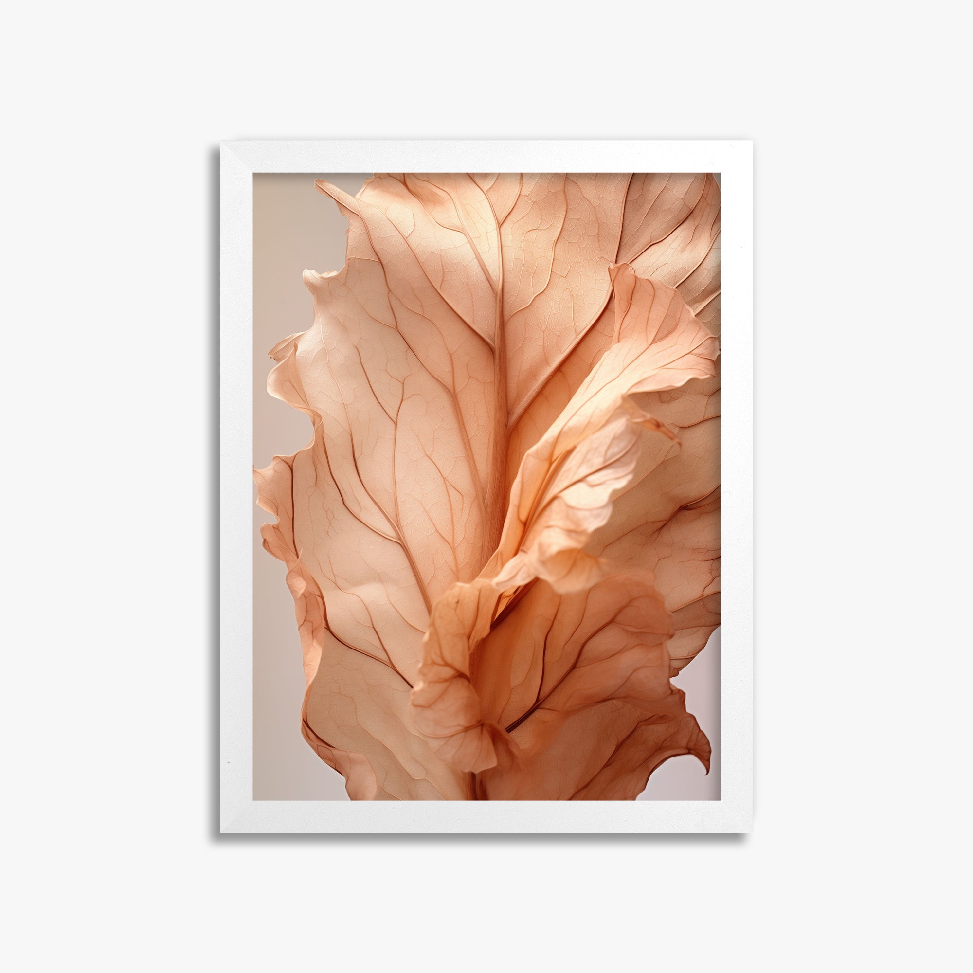 Sunset Petals, 30x40cm Framed Poster With White Frame