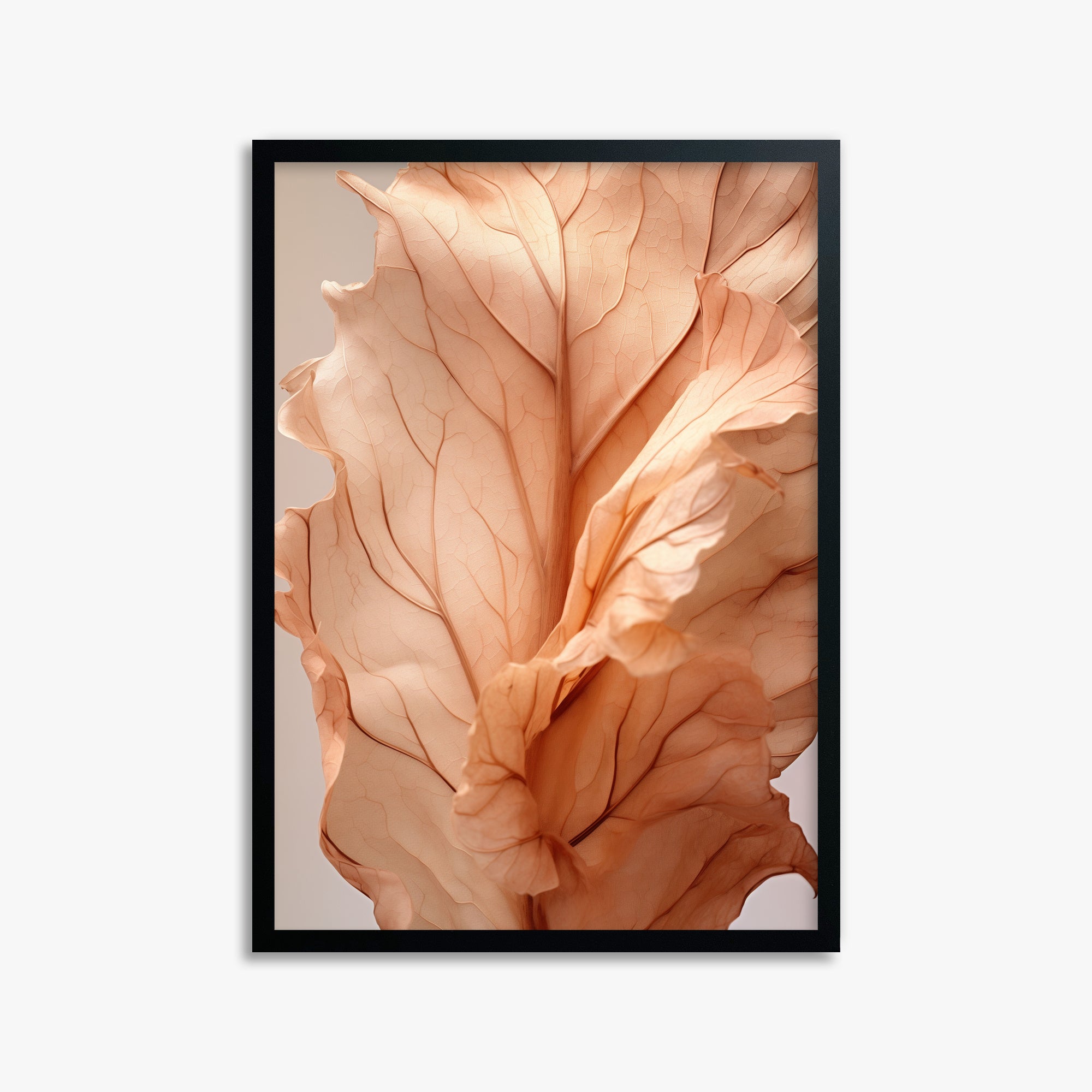 Sunset Petals, 50x70cm Framed Poster With Black Frame