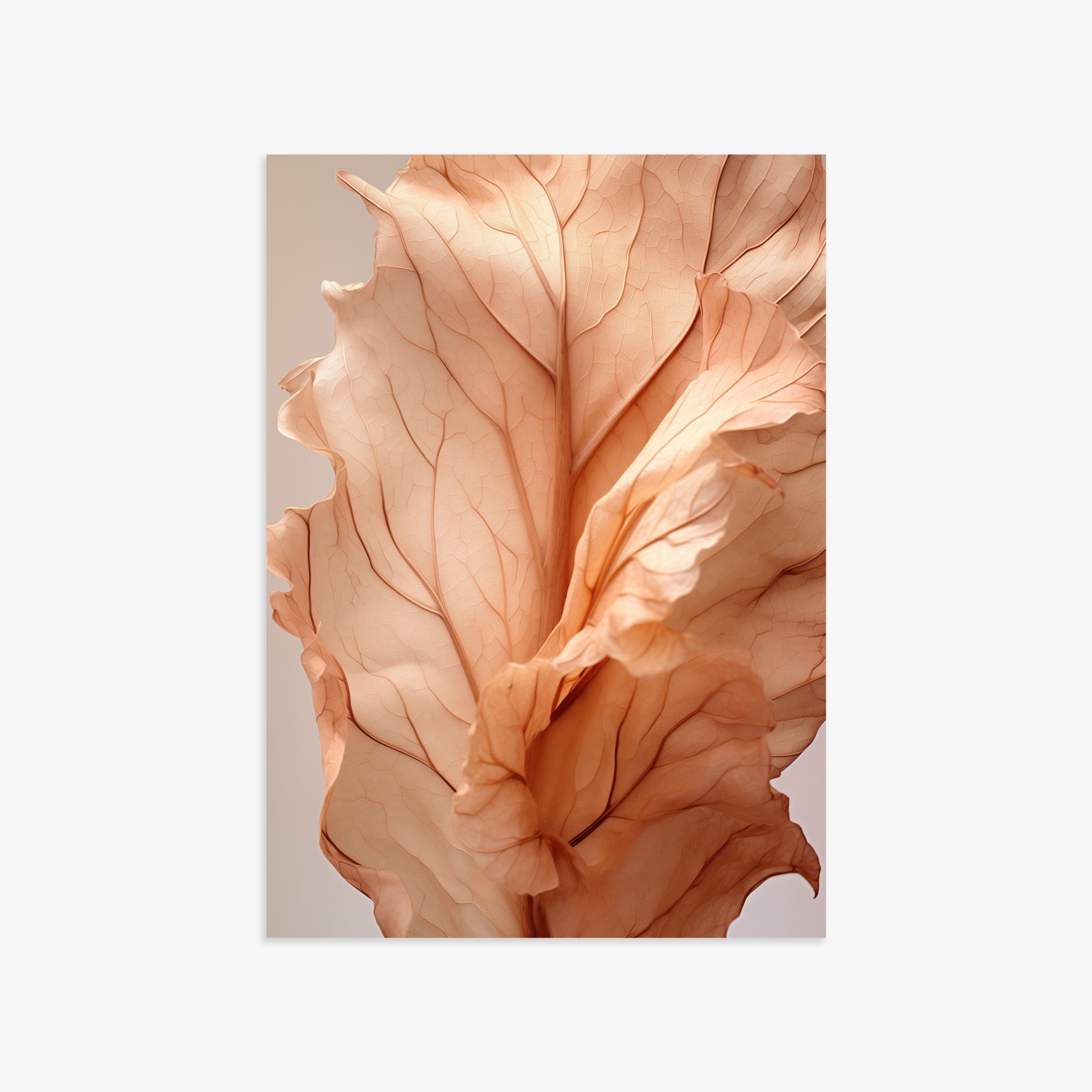 Sunset Petals, 50x70cm Poster Unframed