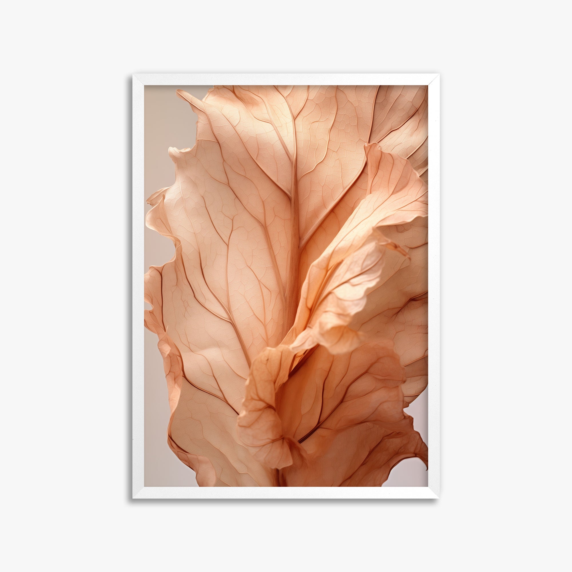 Sunset Petals, 50x70cm Framed Poster With White Frame