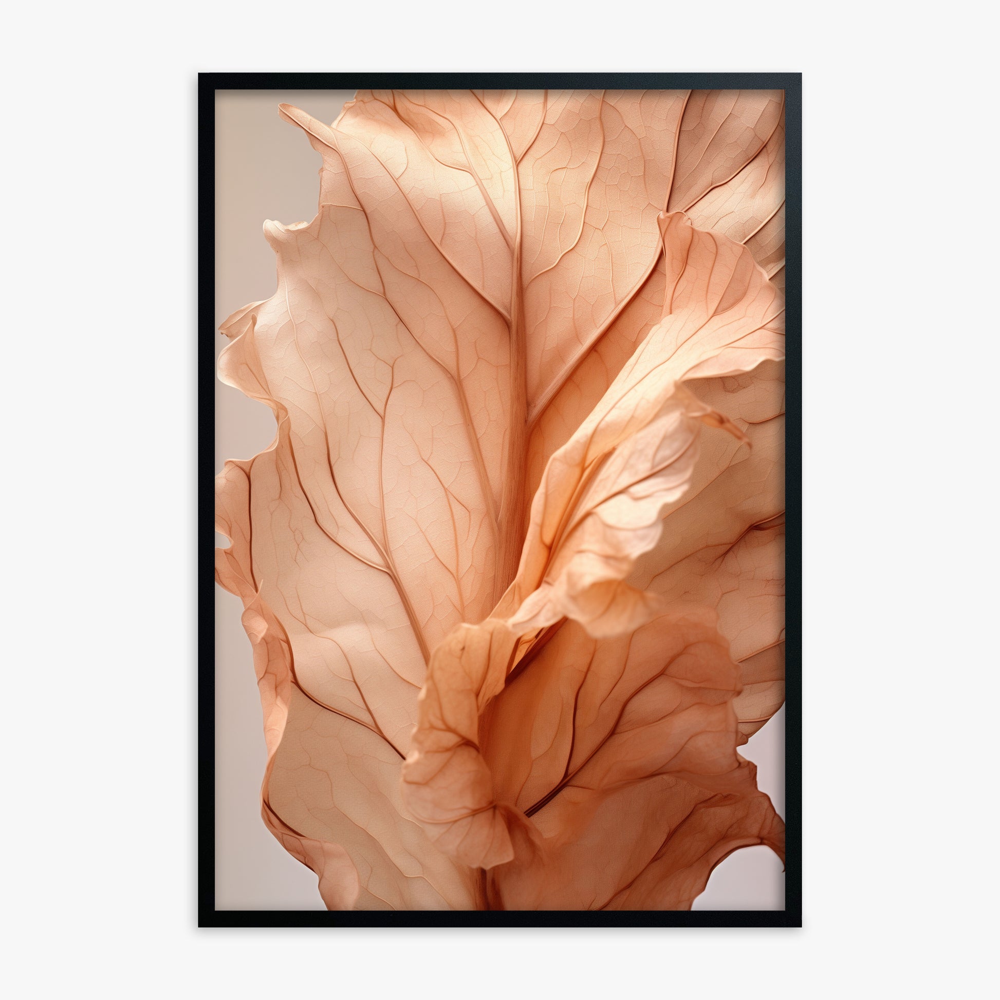 Sunset Petals, Black Framed Poster With Black Frame