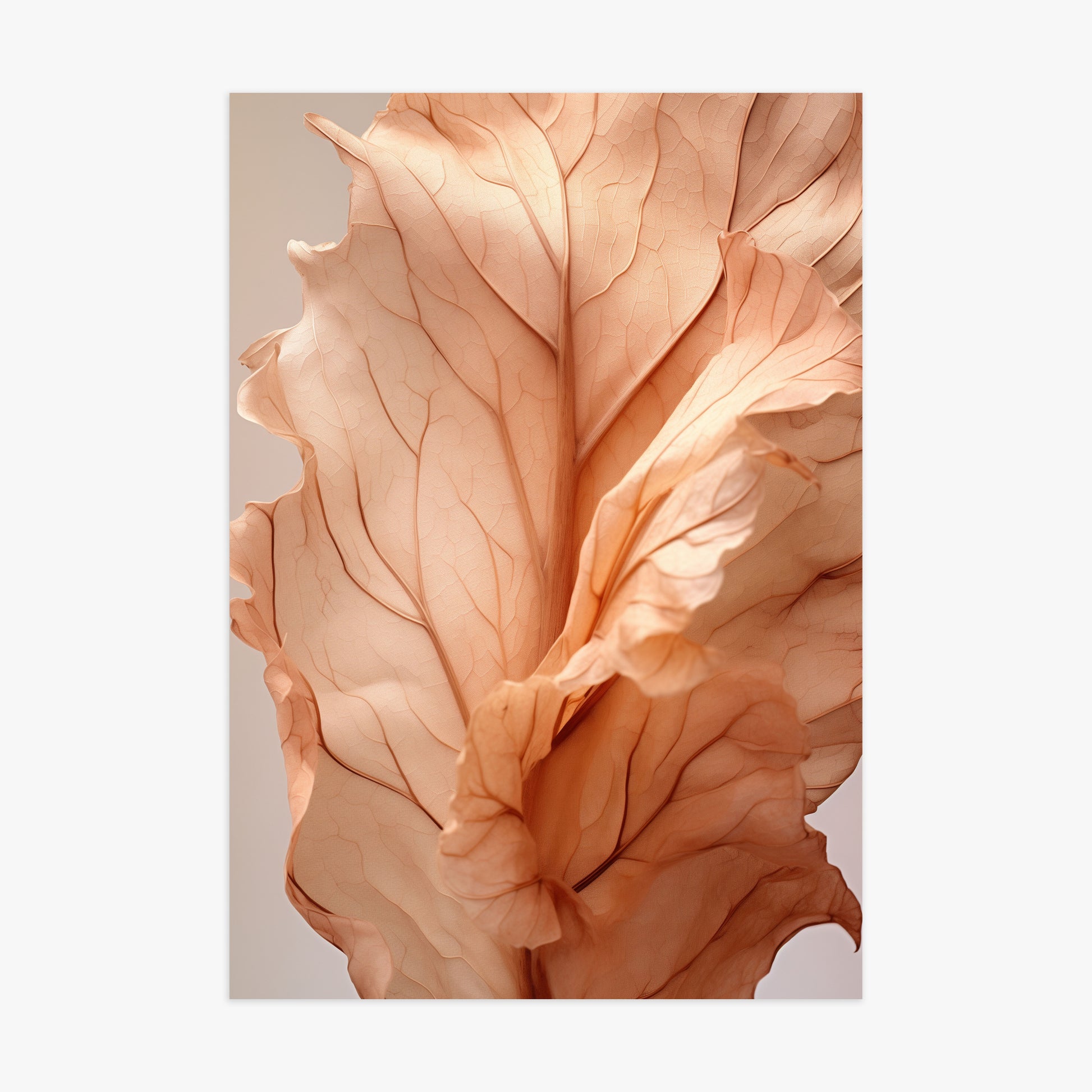 Sunset Petals, 70x100cm Poster Unframed