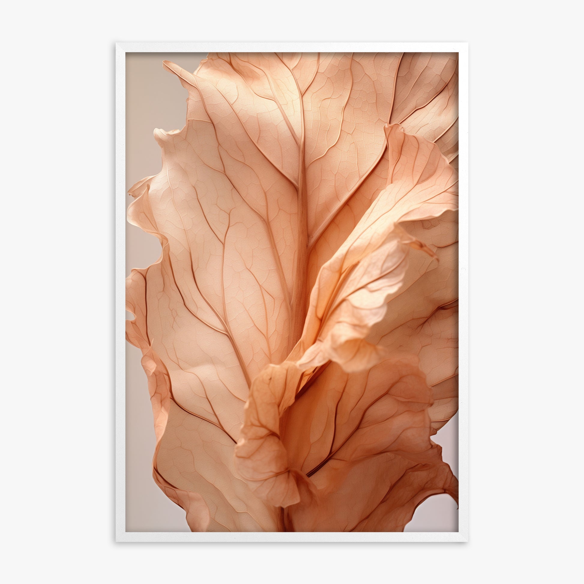 Sunset Petals, White Framed Poster With White Frame
