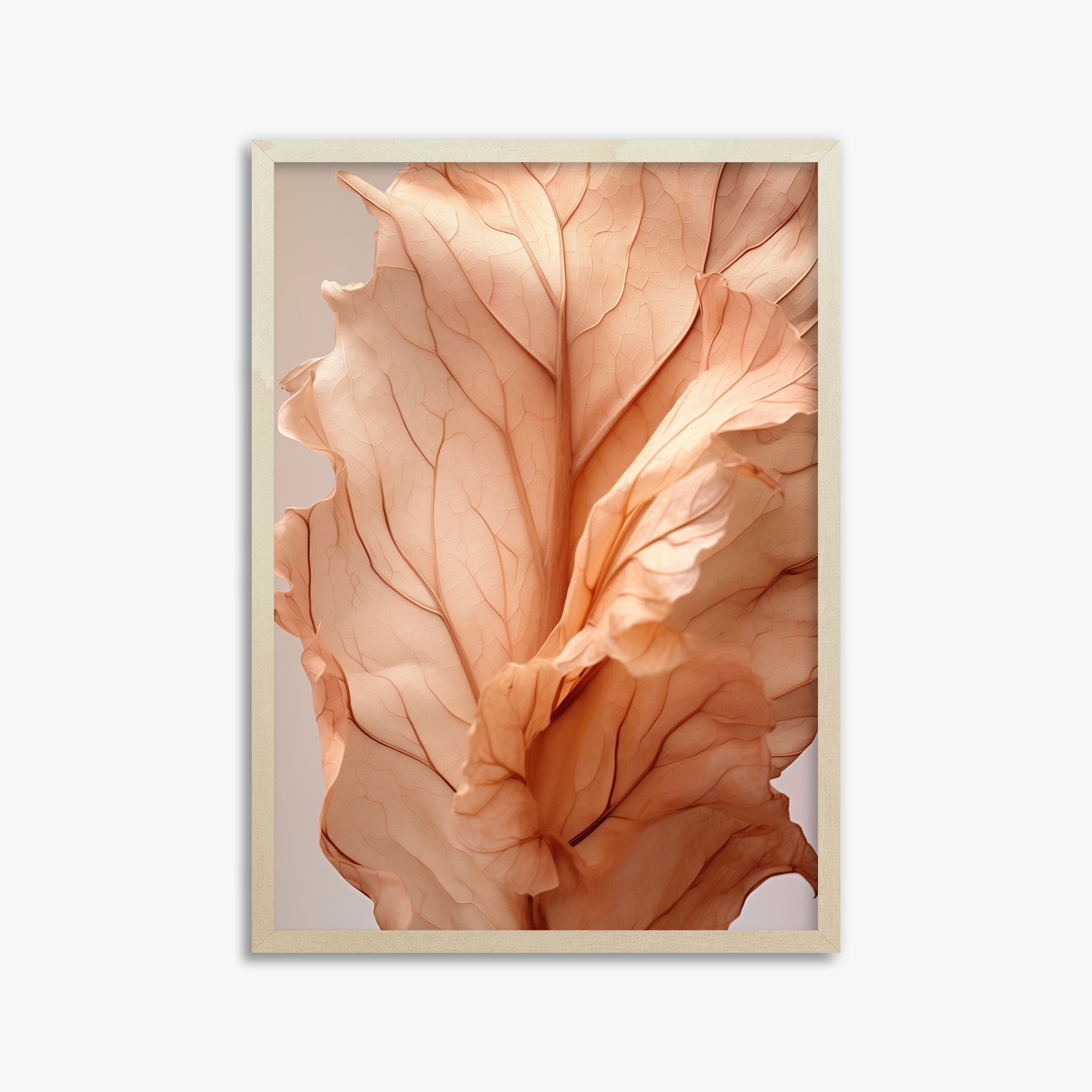 Petali al tramonto