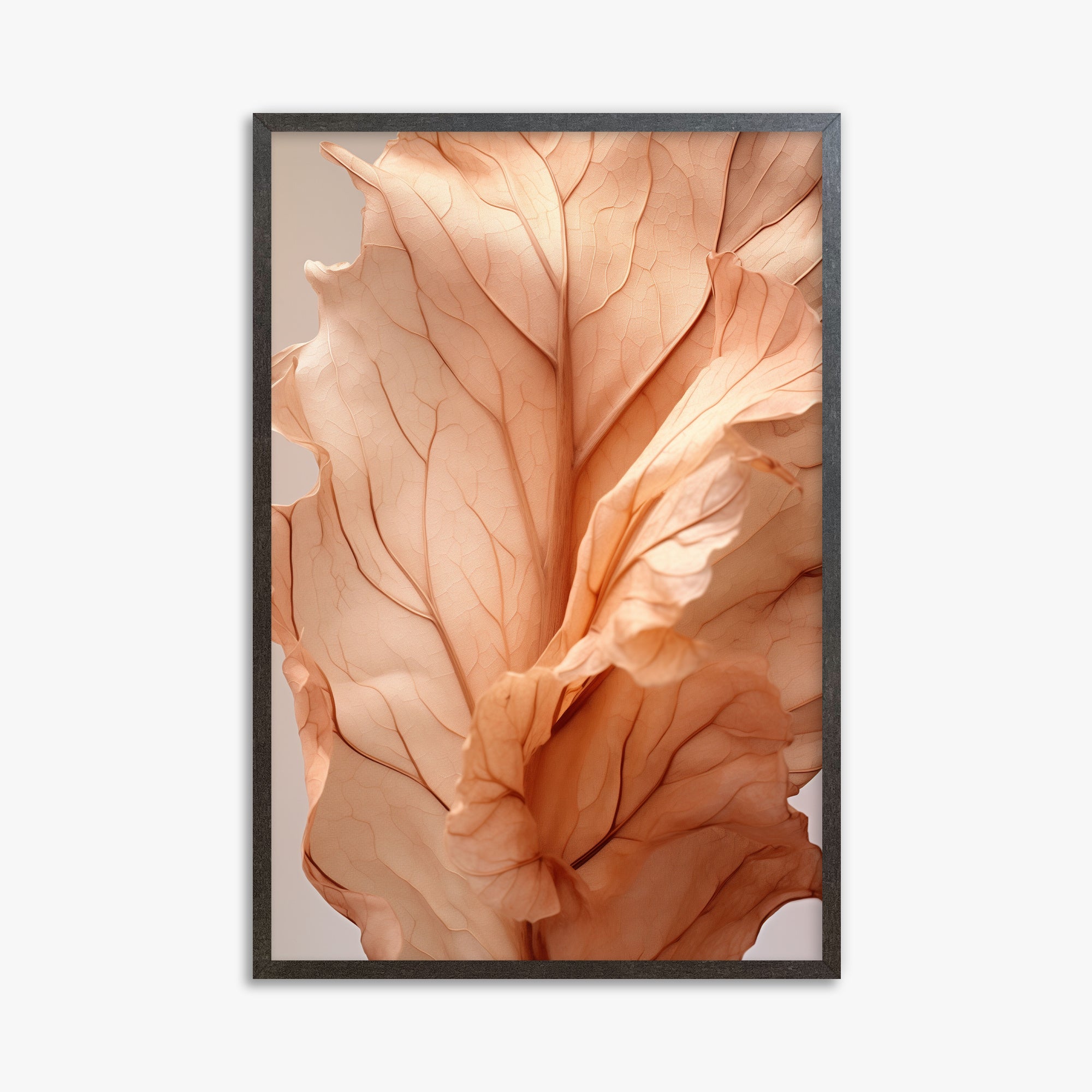 Petali al tramonto
