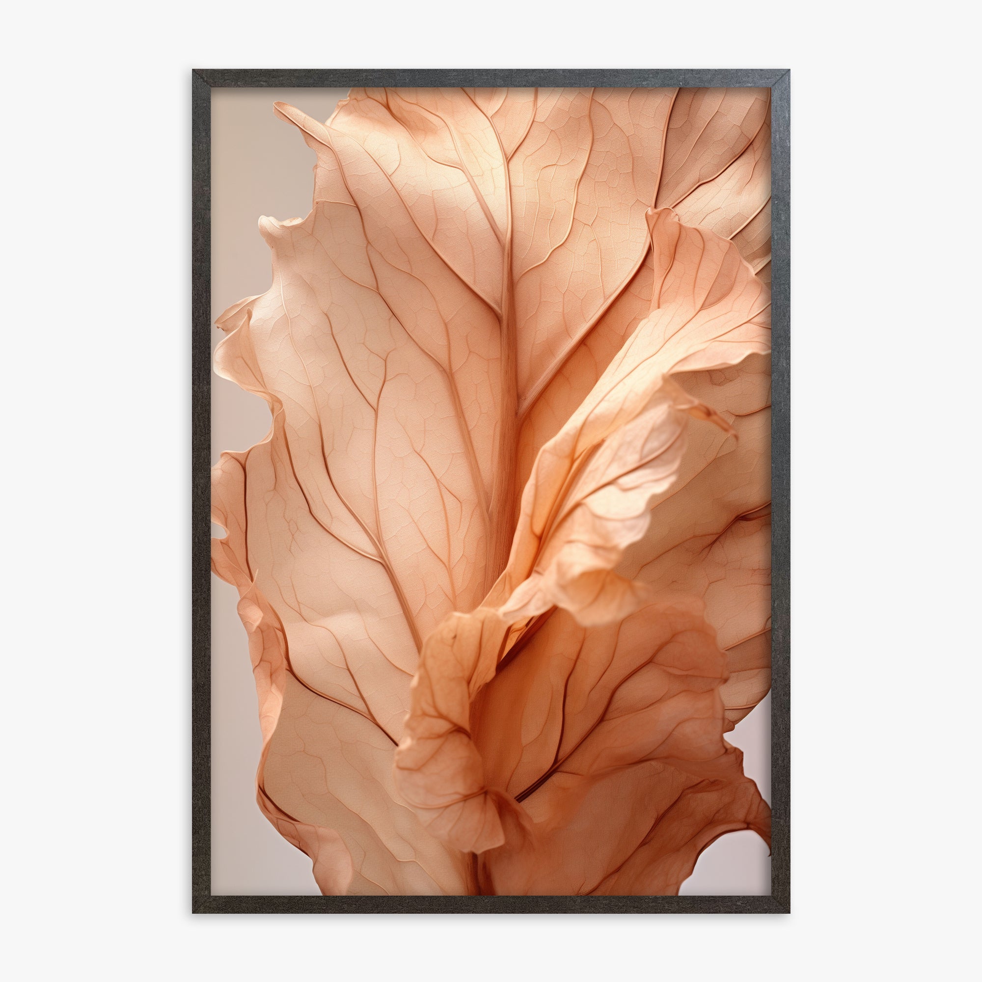 Petali al tramonto