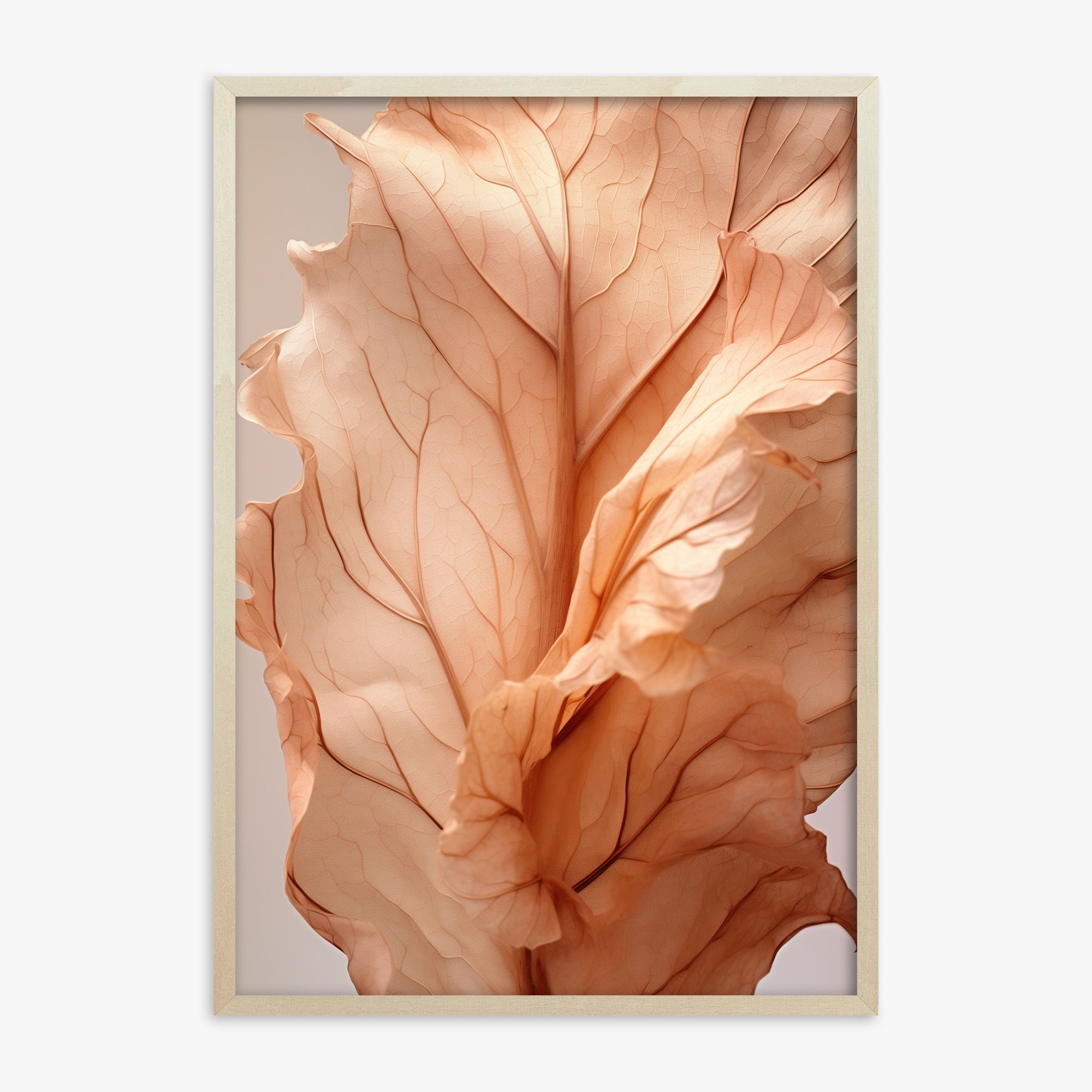 Petali al tramonto