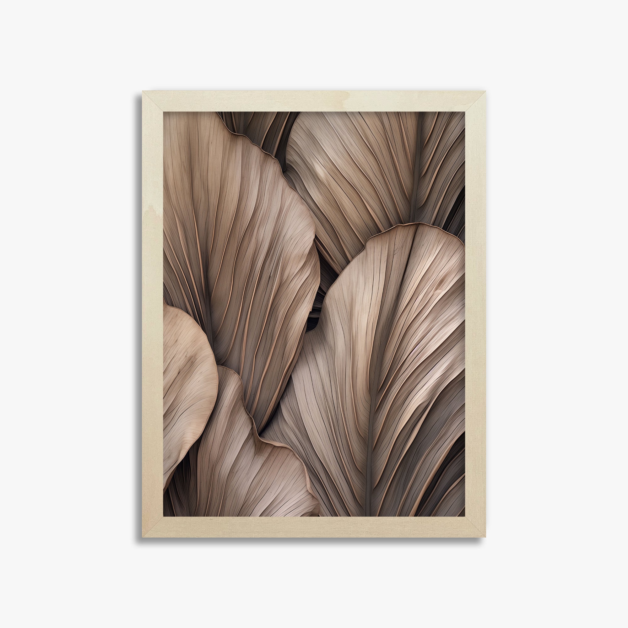 Palme a ventaglio del deserto