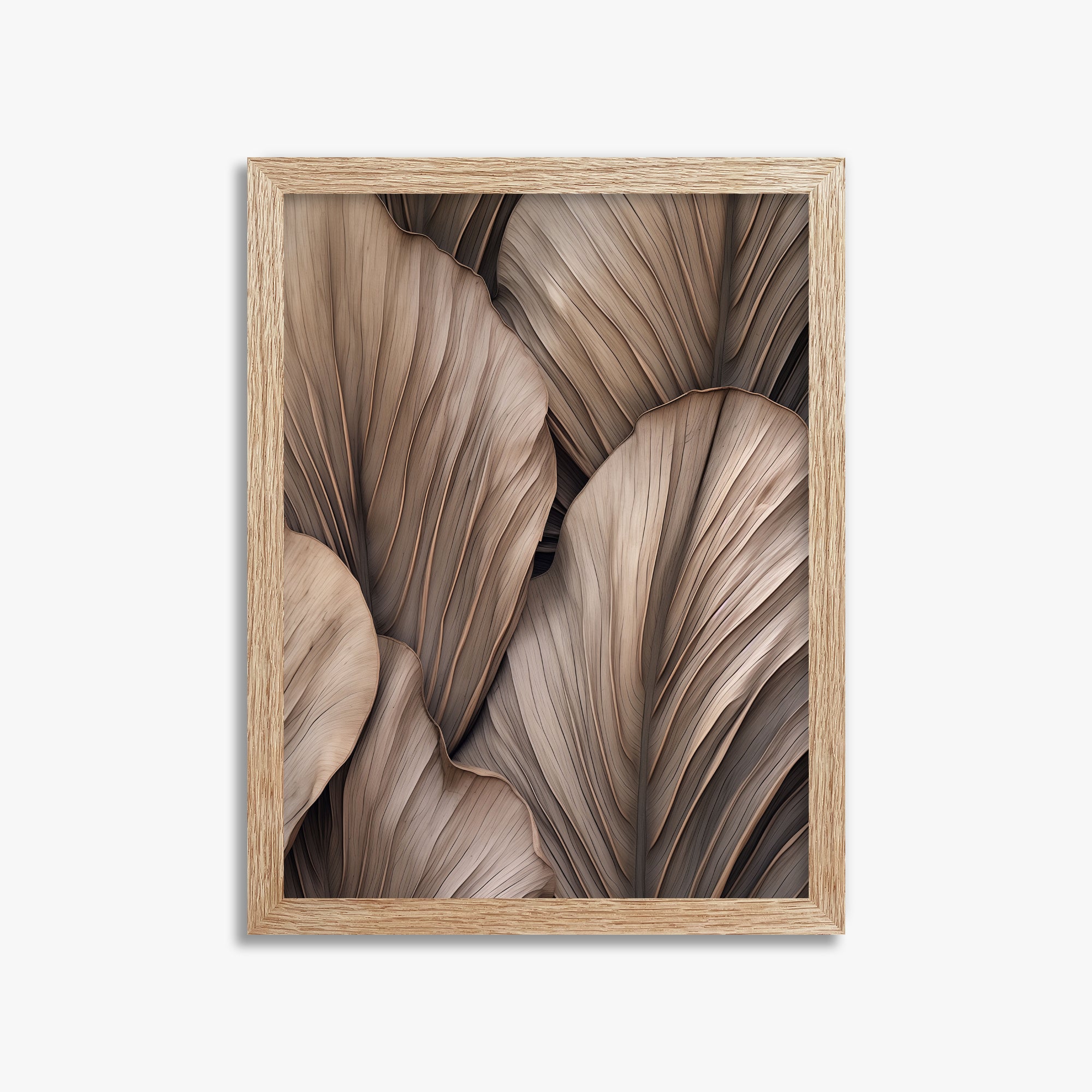 Palme a ventaglio del deserto