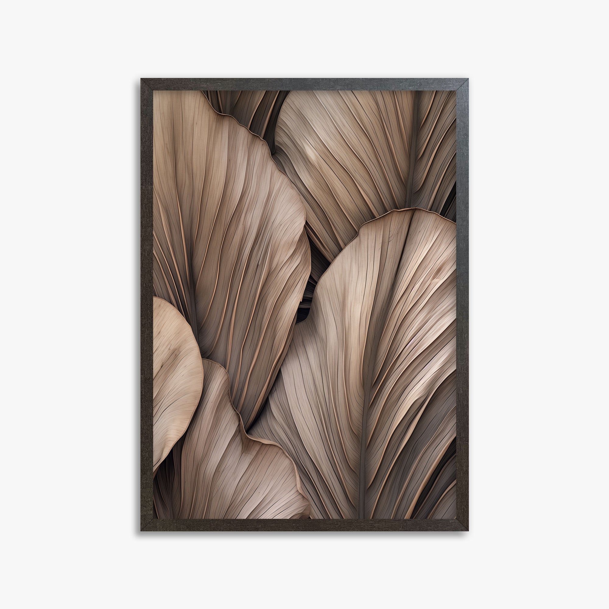 Palme a ventaglio del deserto