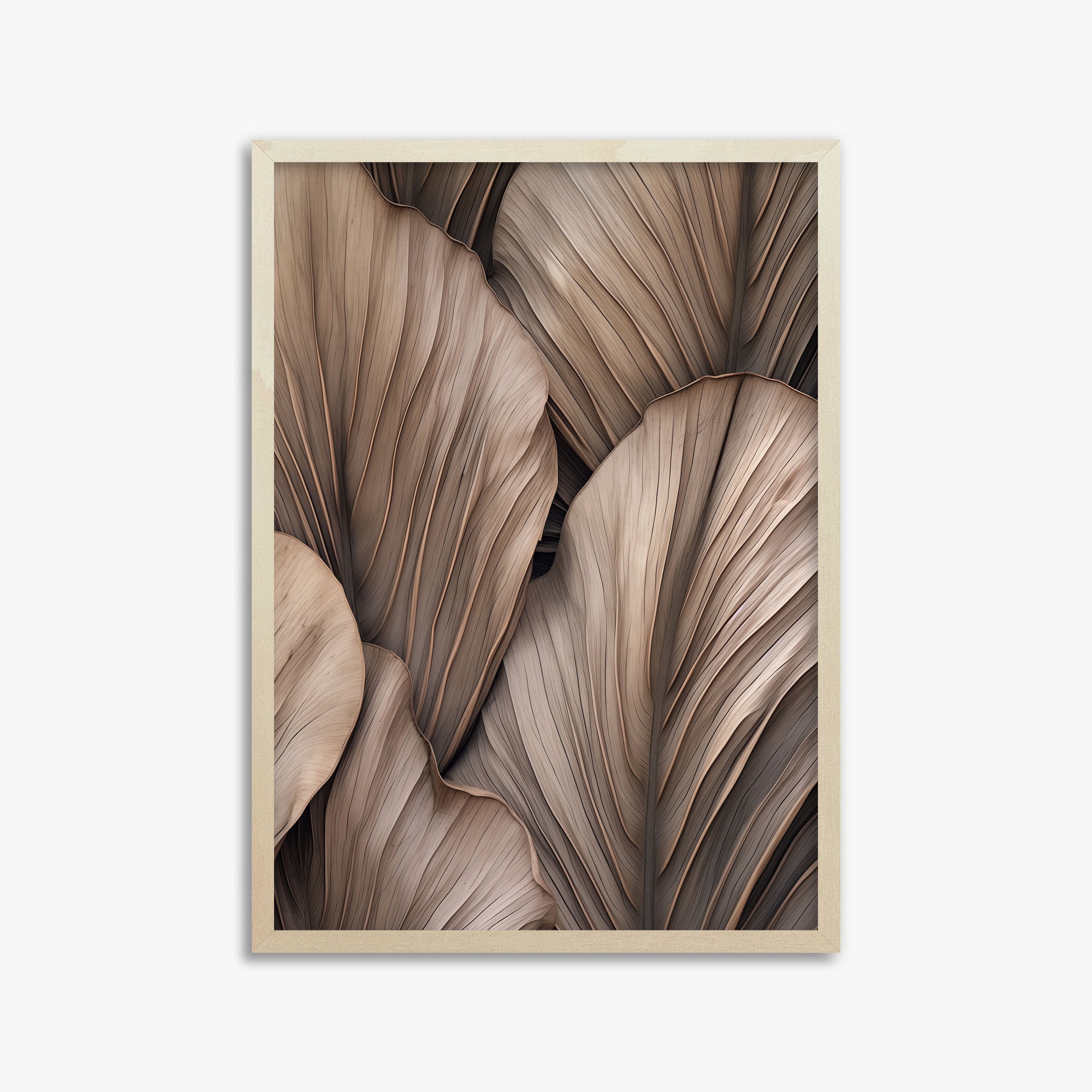 Palme a ventaglio del deserto