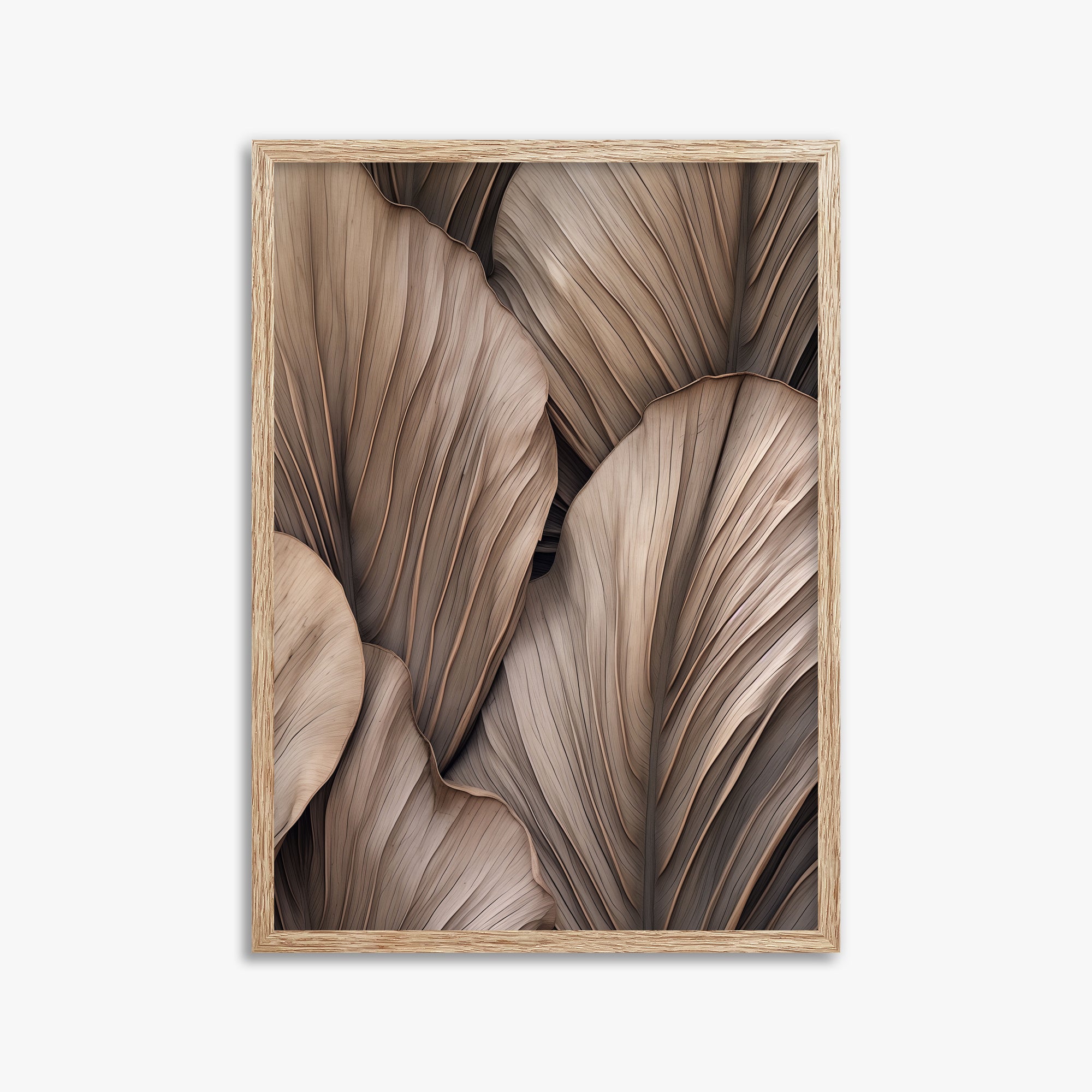Palme a ventaglio del deserto
