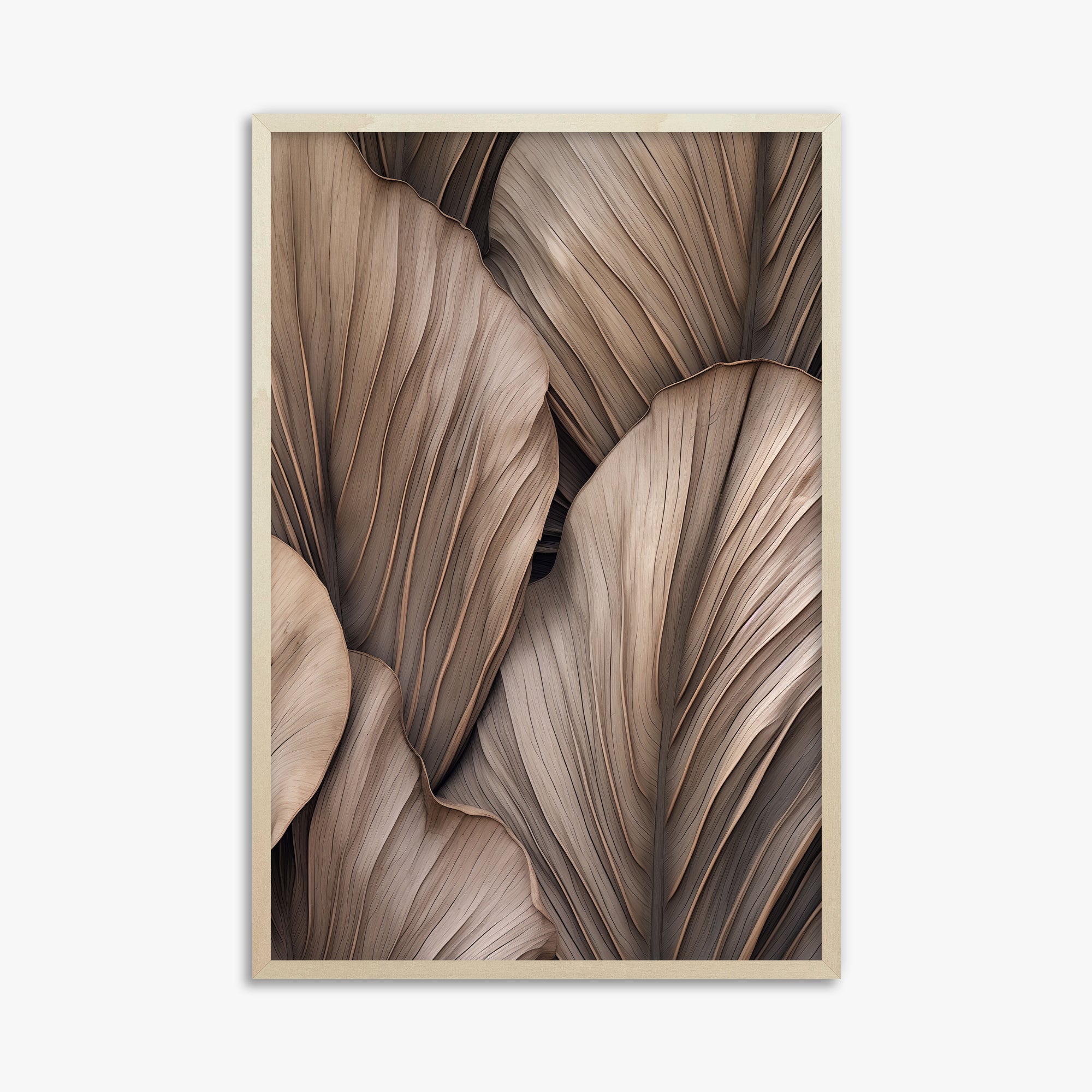 Palme a ventaglio del deserto
