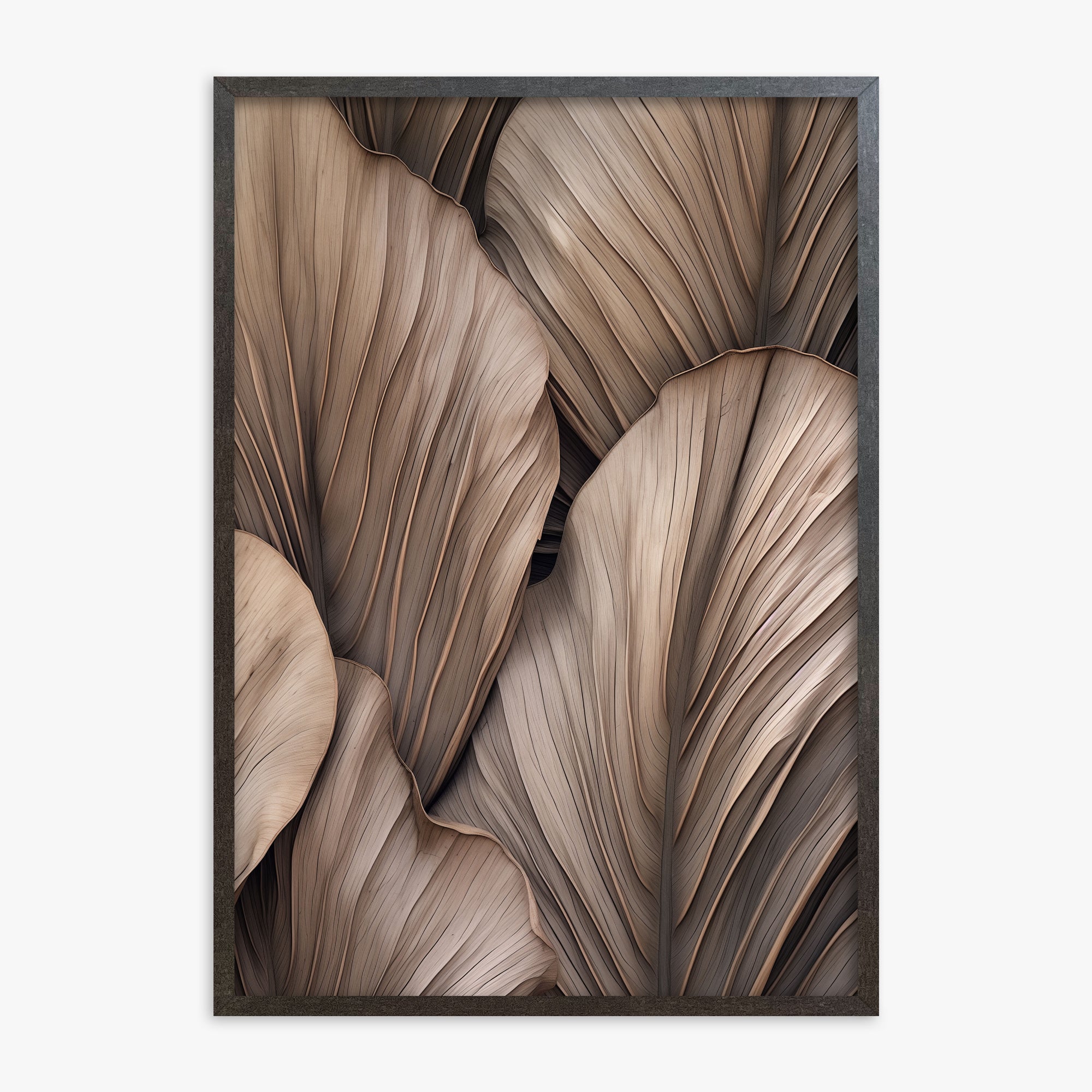 Palme a ventaglio del deserto
