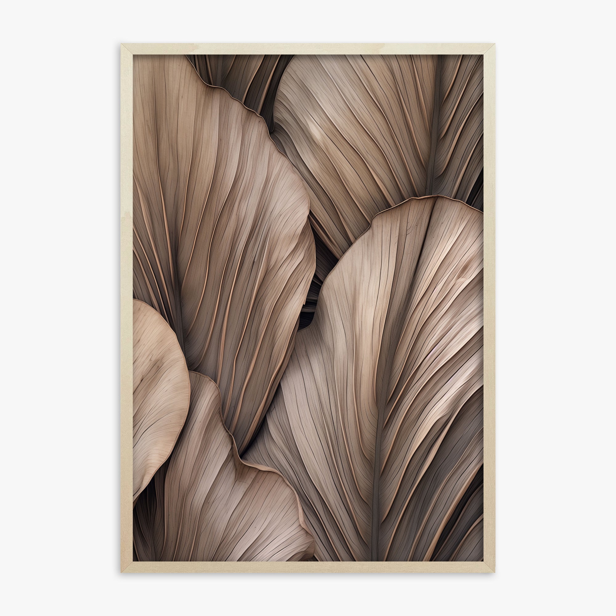 Palme a ventaglio del deserto