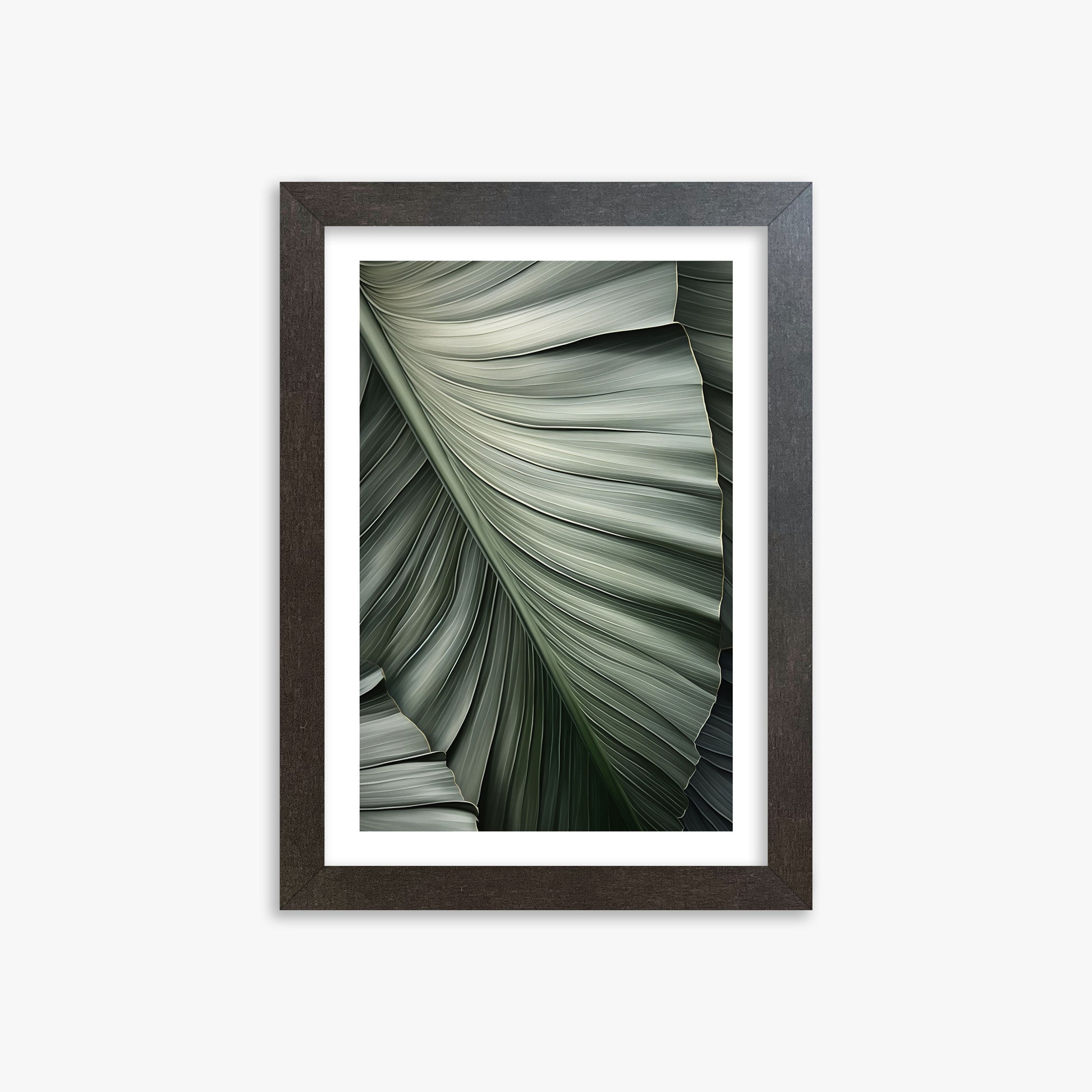 Palm Canopy, 21x30cm Framed Poster With Espresso Frame