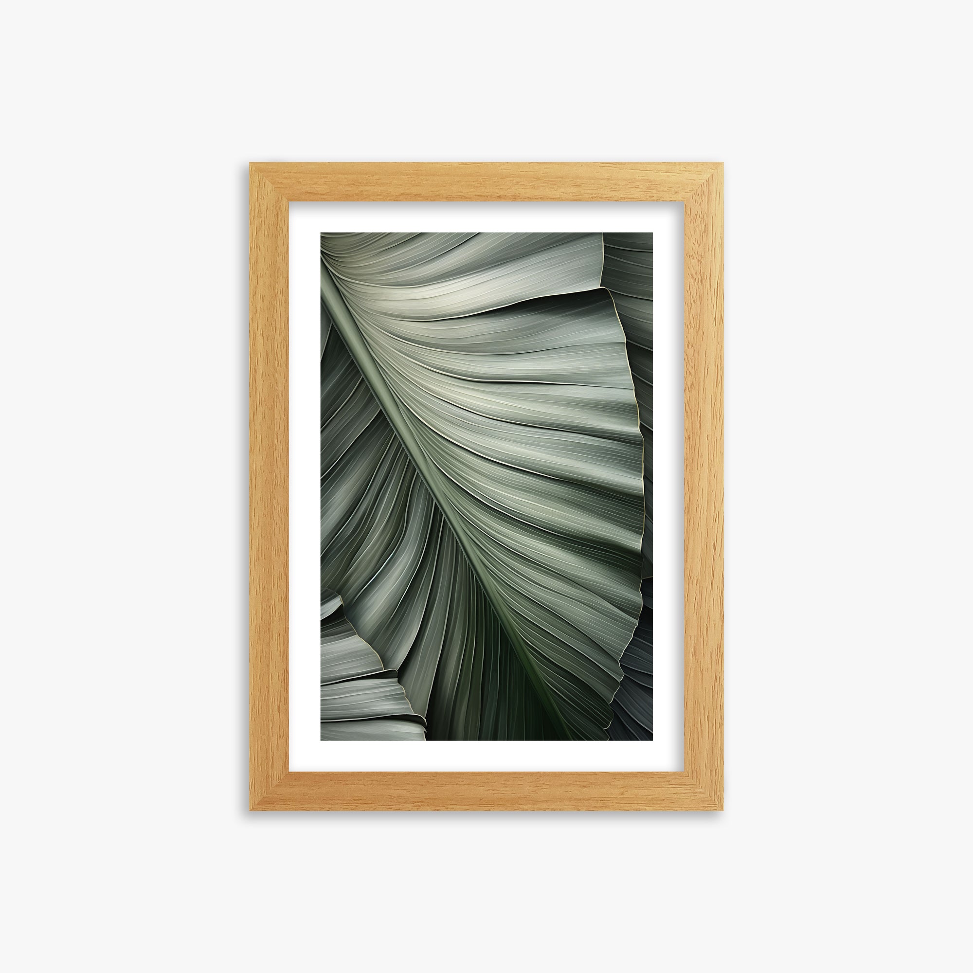 Palm Canopy, 21x30cm Framed Poster With Oak Frame