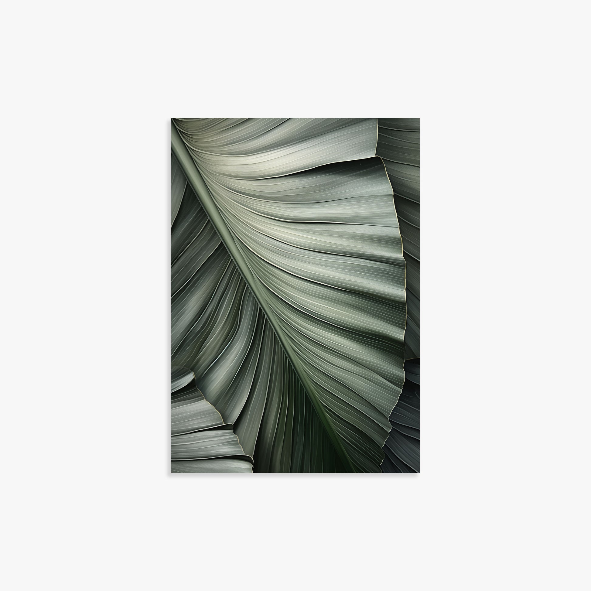Palm Canopy, 21x30cm Poster Unframed