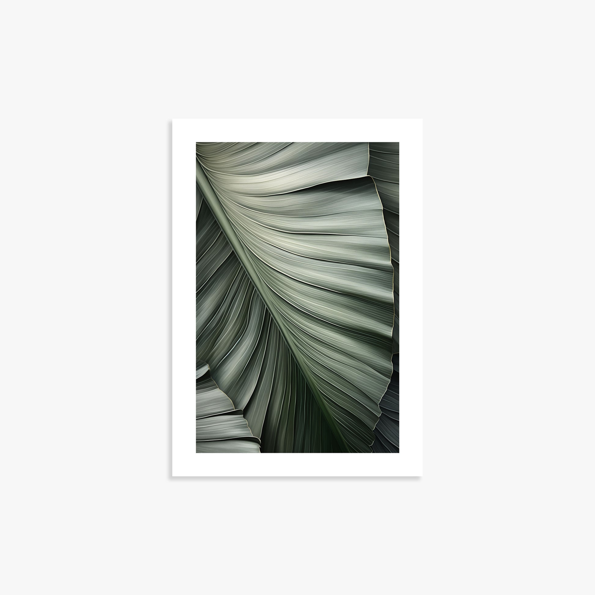 Palm Canopy, 21x30cm Poster Unframed