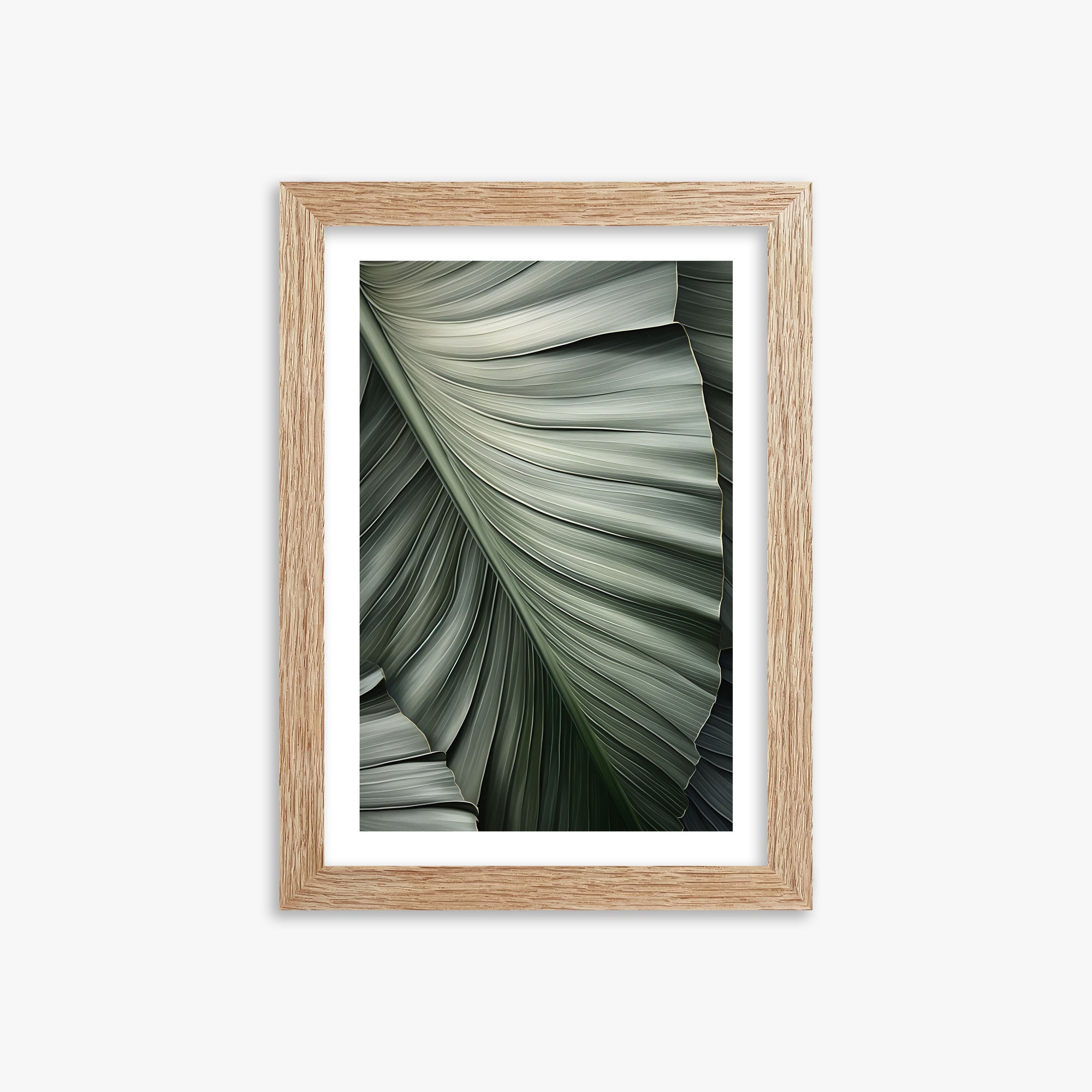 Palm Canopy, 21x30cm Framed Poster With Raw Oak Frame