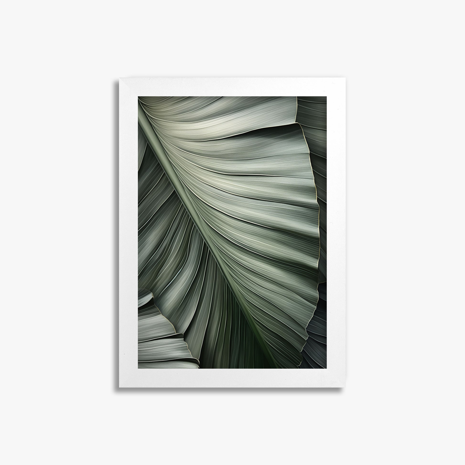 Palm Canopy, 21x30cm Framed Poster With White Frame