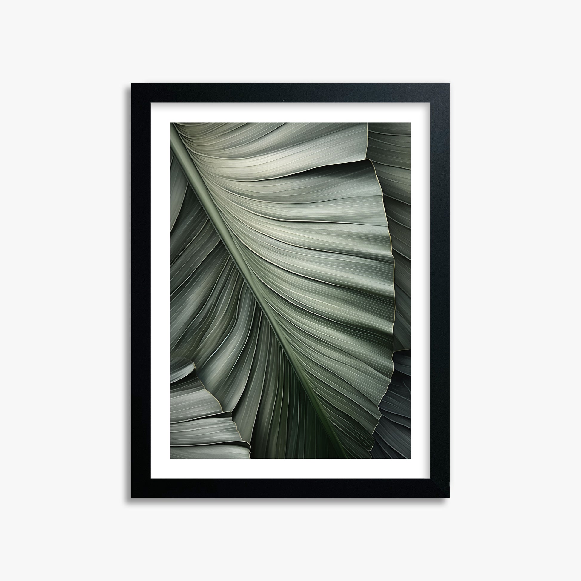 Palm Canopy, 30x40cm Framed Poster With Black Frame
