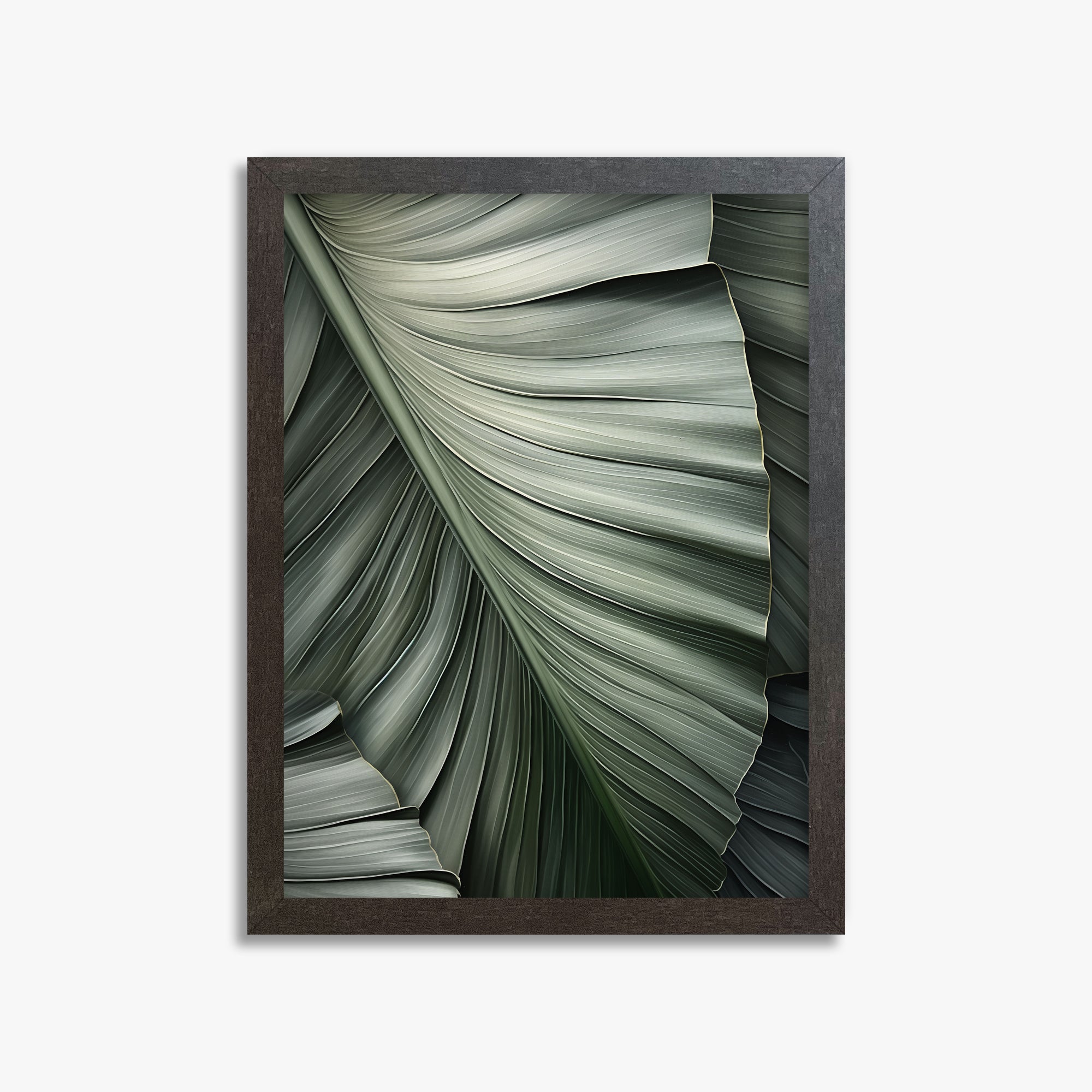 Palm Canopy, 30x40cm Framed Poster With Espresso Frame