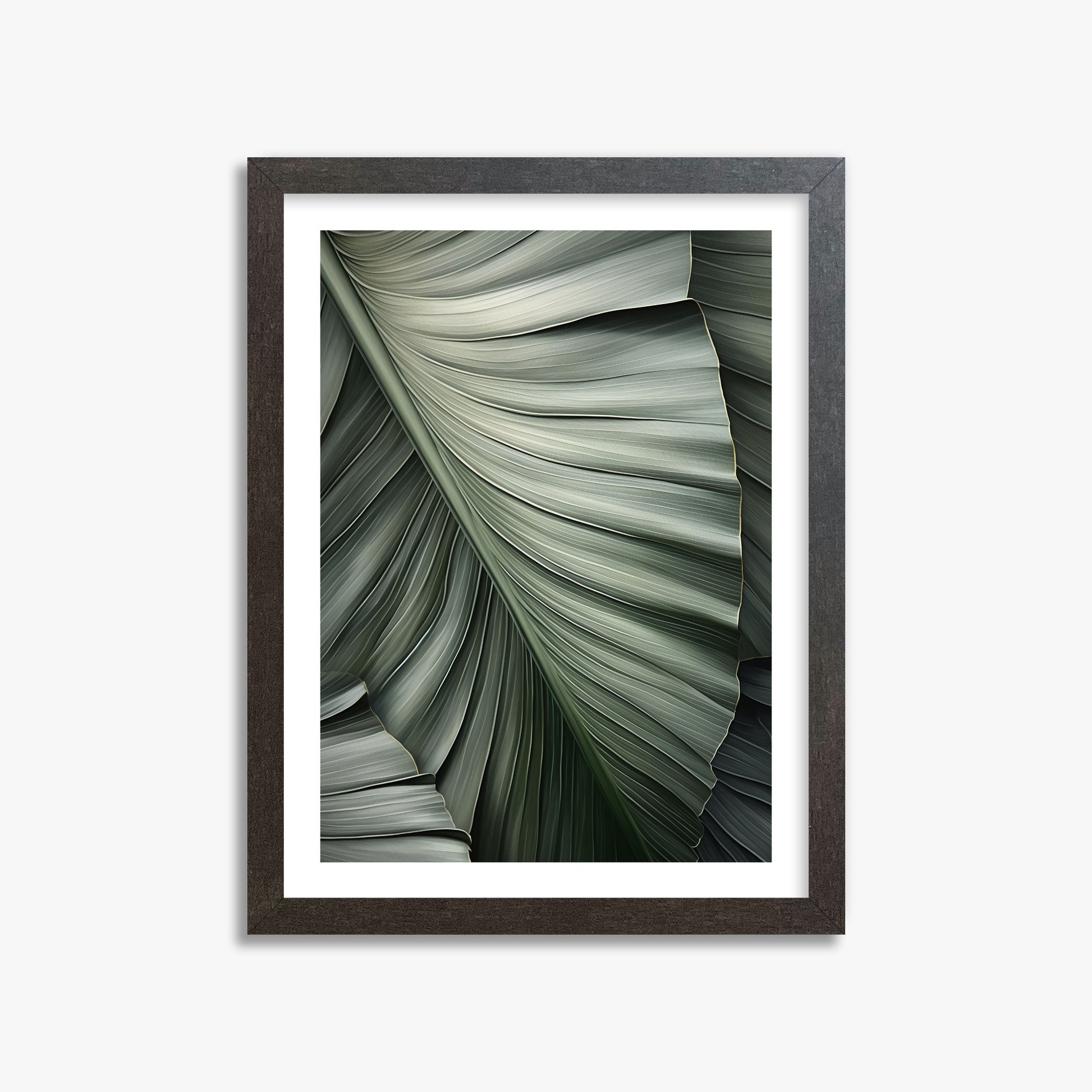 Palm Canopy, 30x40cm Framed Poster With Espresso Frame