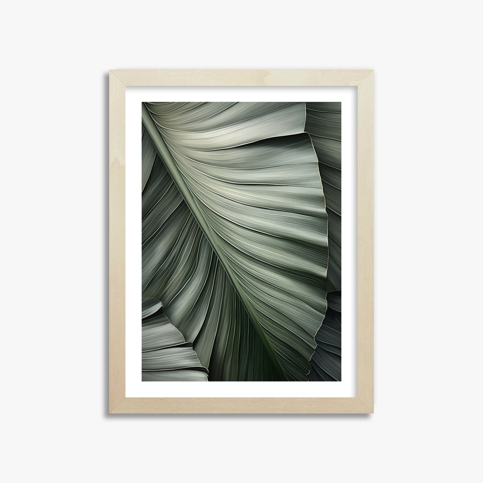 Palm Canopy, 30x40cm Framed Poster With Lime Wood Frame