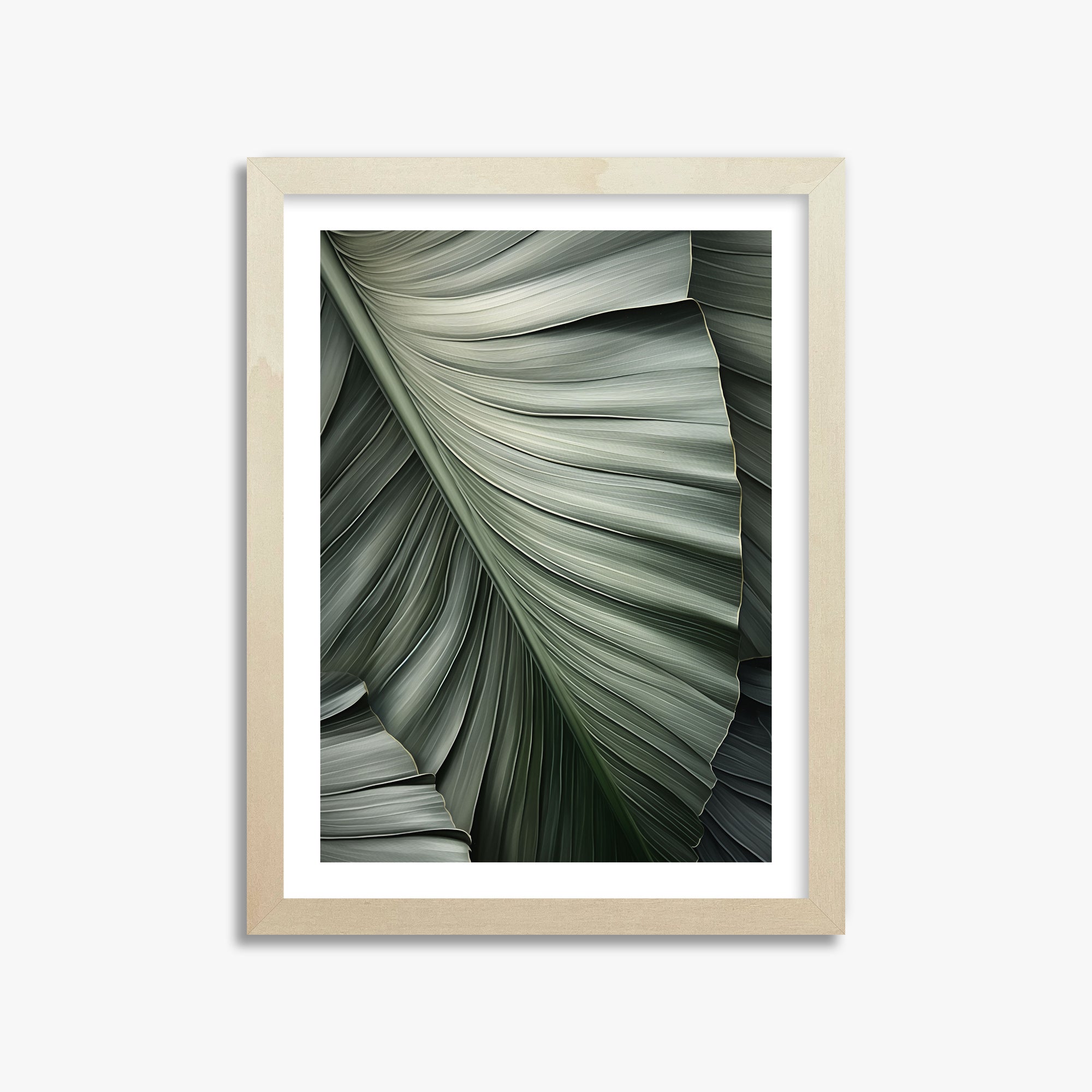 Palm Canopy, 30x40cm Framed Poster With Lime Wood Frame