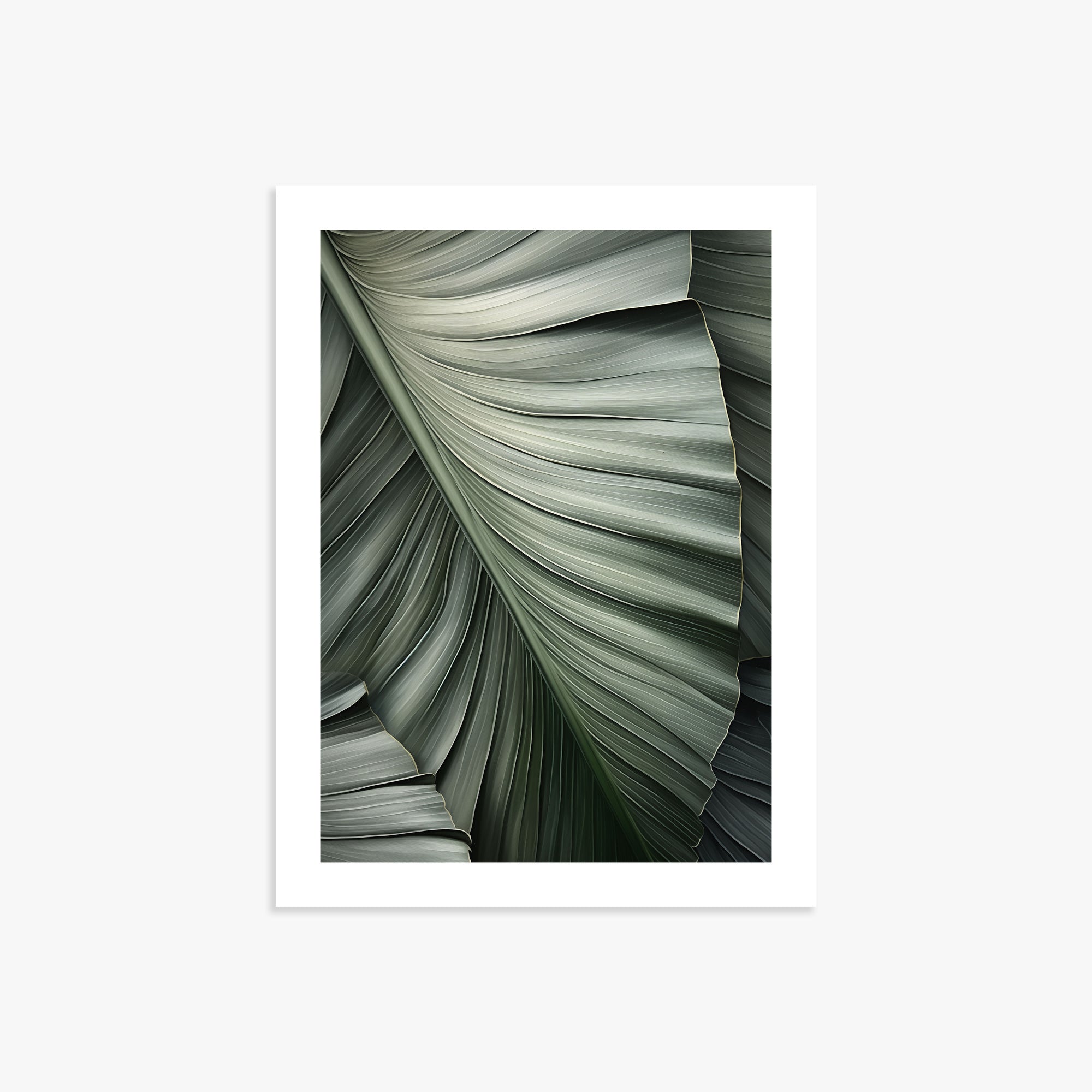 Palm Canopy, 30x40cm Poster Unframed