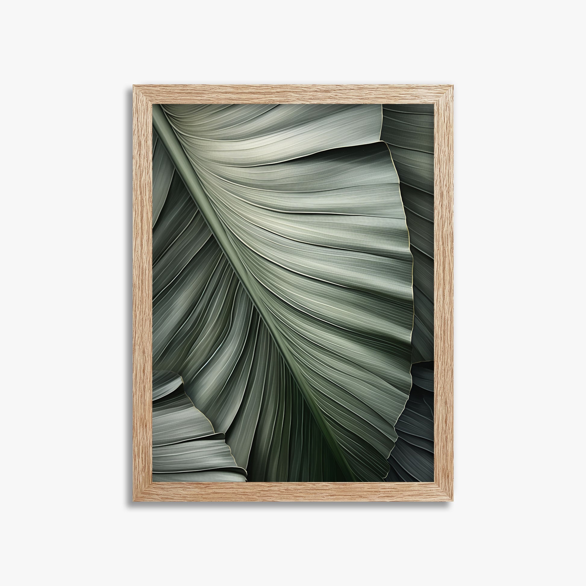 Palm Canopy, 30x40cm Framed Poster With Raw Oak Frame