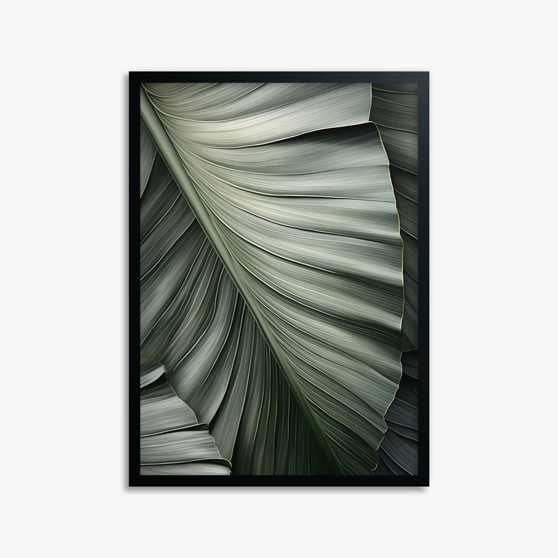 Palm Canopy, 50x70cm Framed Poster With Black Frame