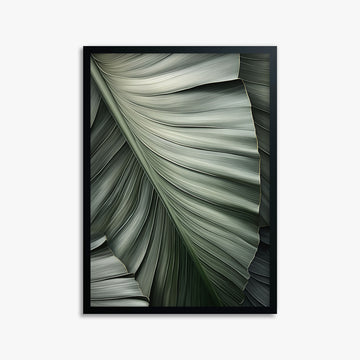 Palm Canopy, 50x70cm Framed Poster With Black Frame