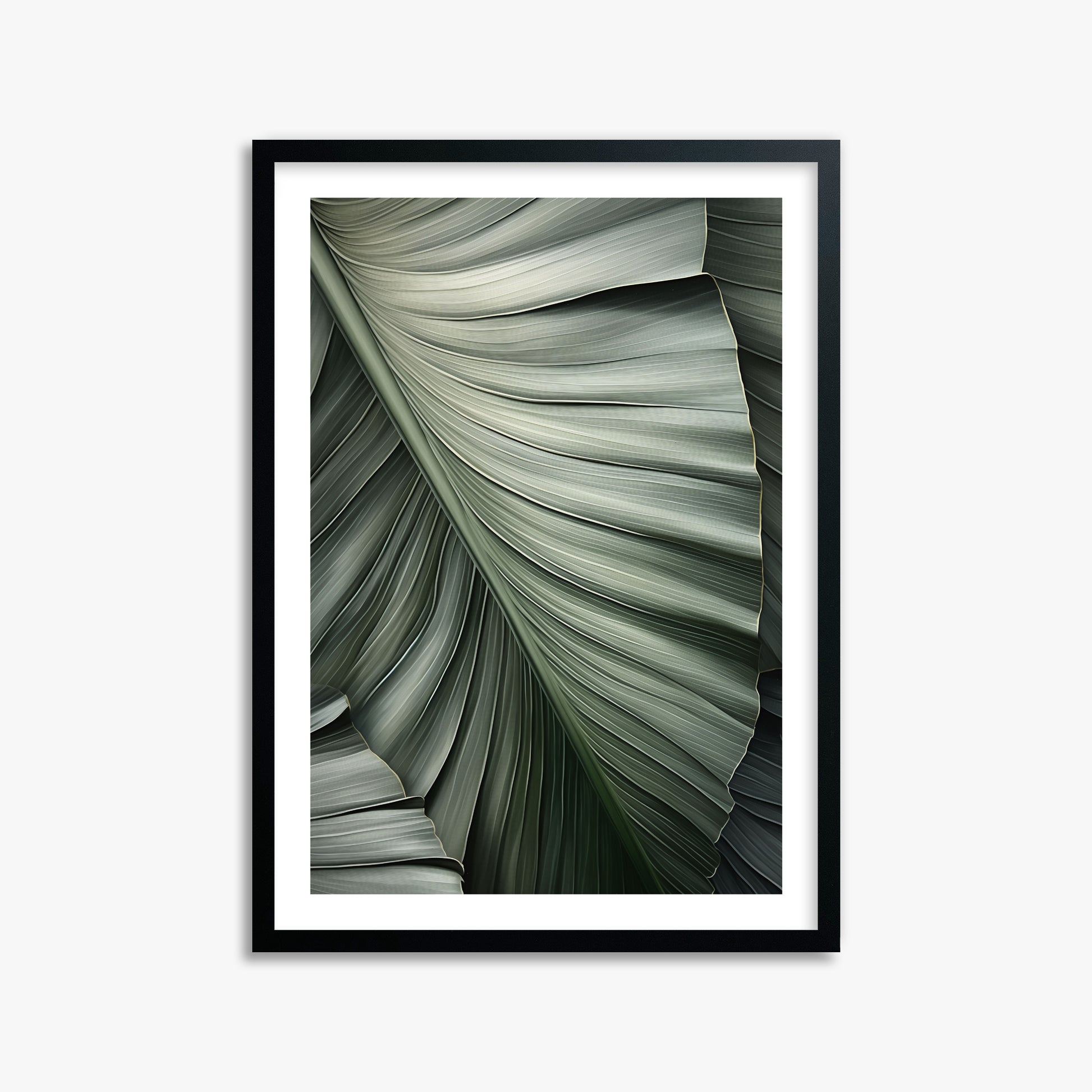 Palm Canopy, 50x70cm Framed Poster With Black Frame