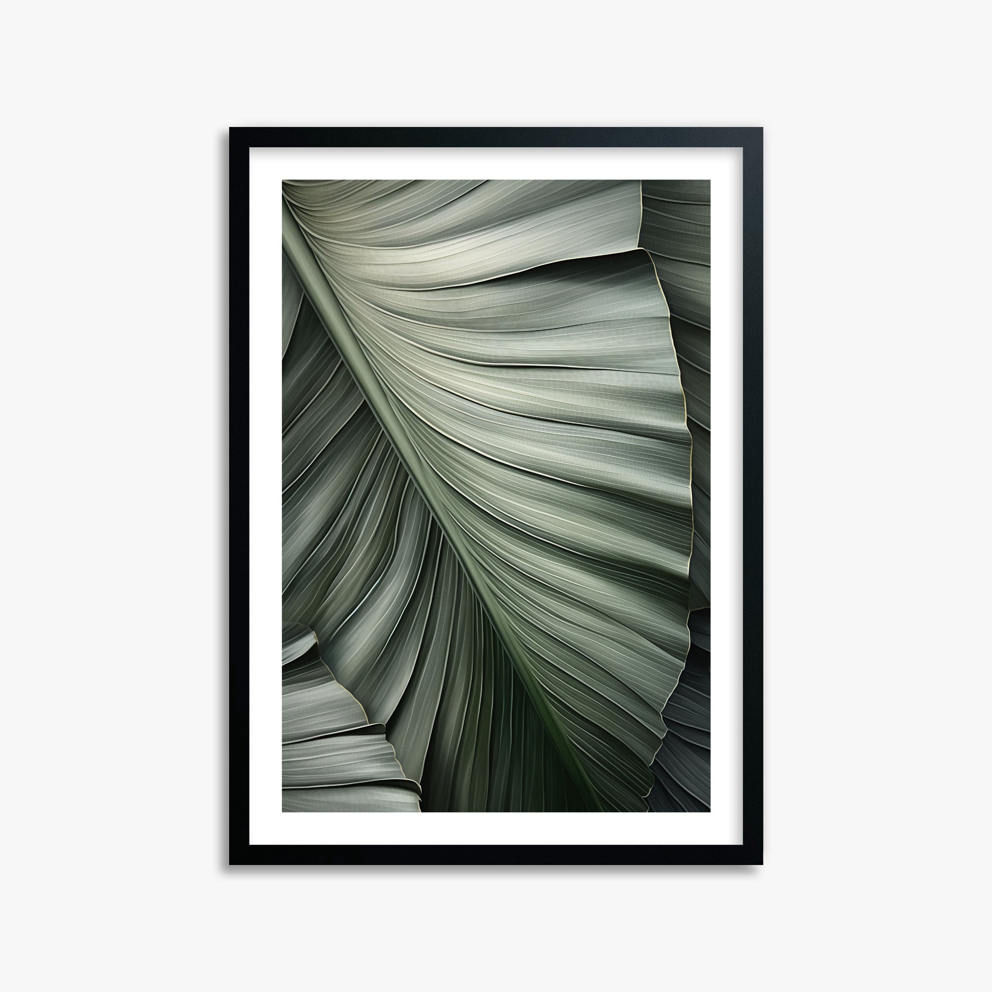 Palm Canopy, 50x70cm Framed Poster With Black Frame