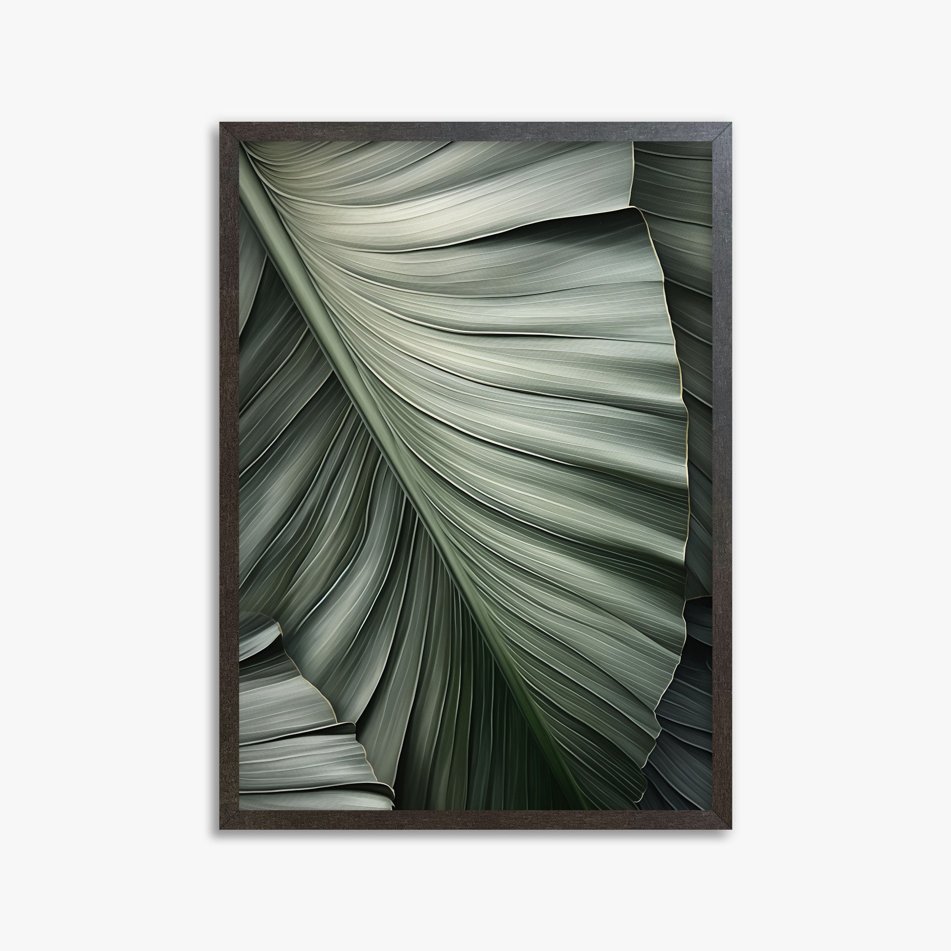 Palm Canopy, 50x70cm Framed Poster With Espresso Frame