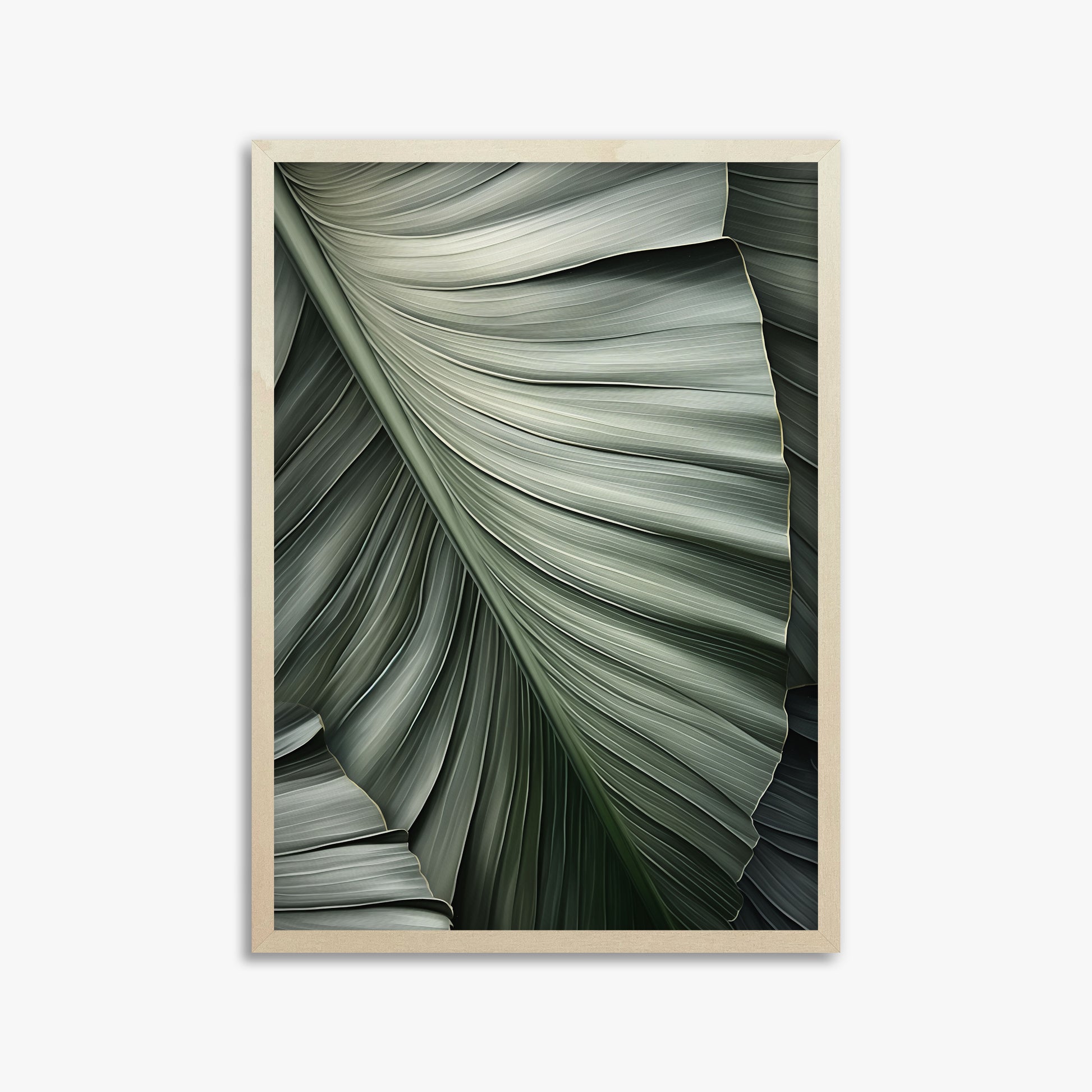 Palm Canopy, 50x70cm Framed Poster With Lime Wood Frame