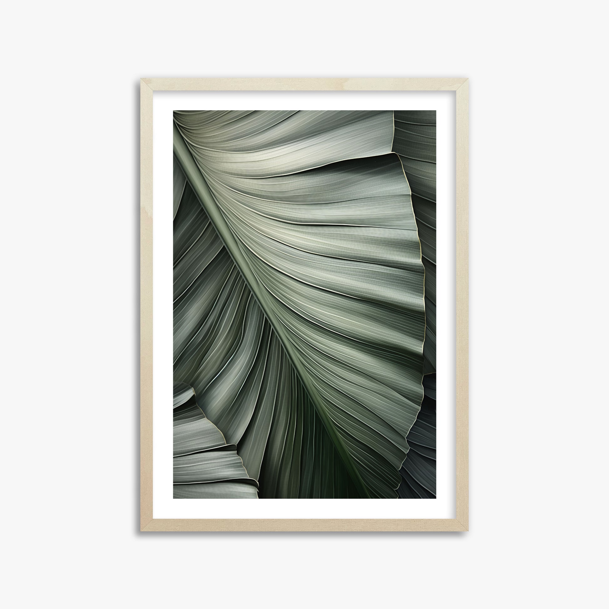 Palm Canopy, 50x70cm Framed Poster With Lime Wood Frame