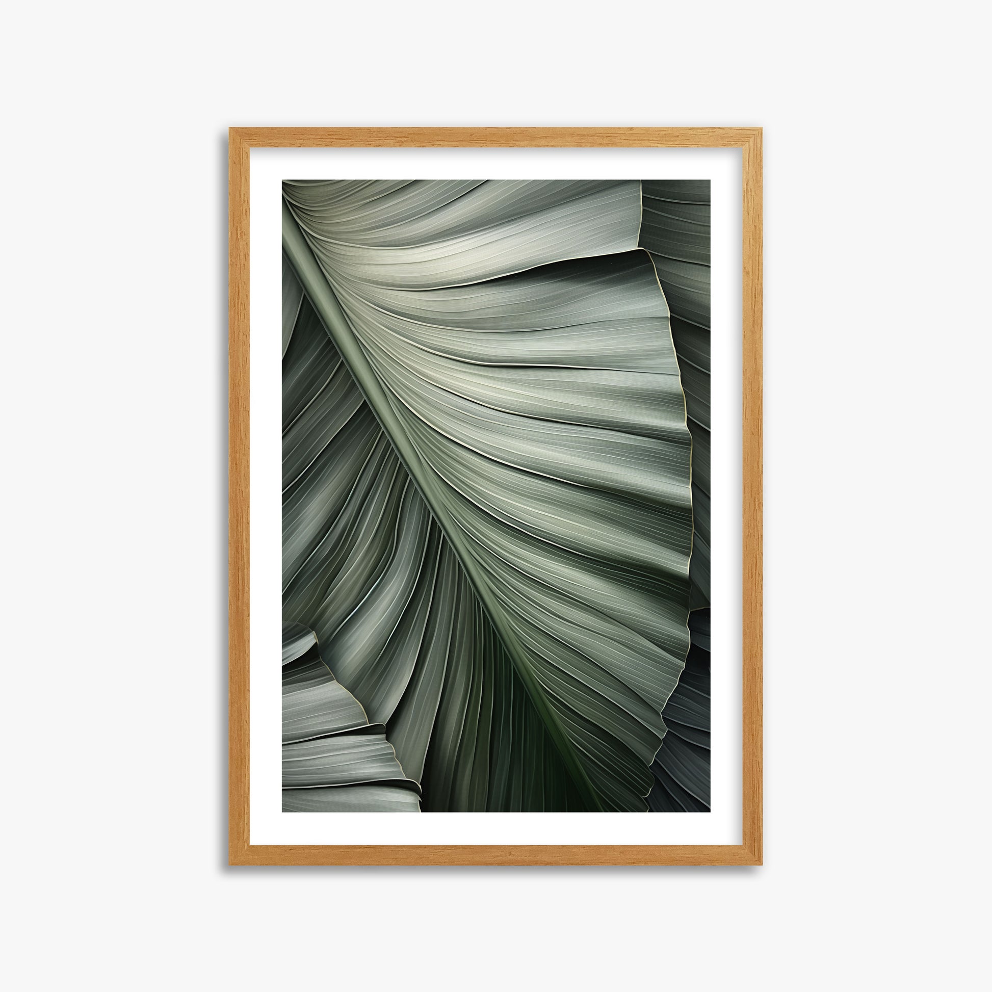 Palm Canopy, 50x70cm Framed Poster With Oak Frame